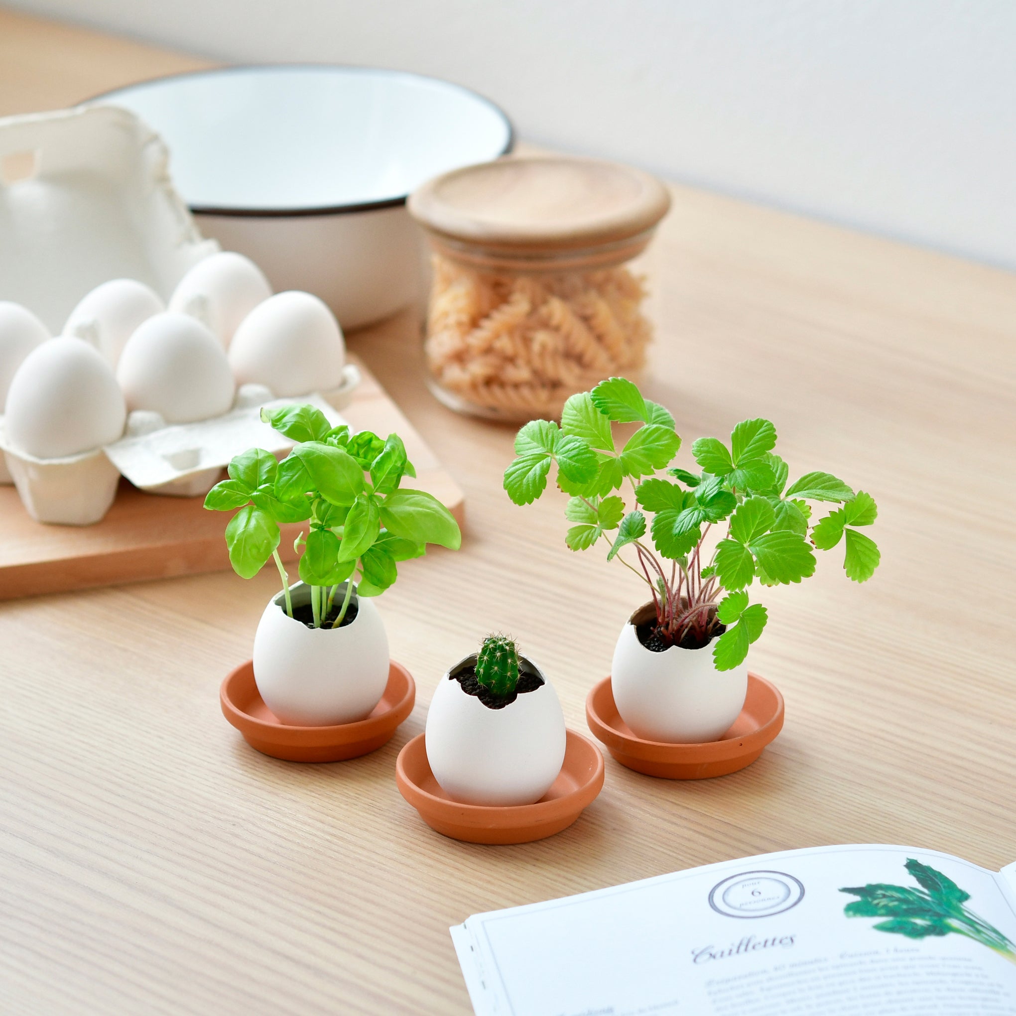 Eggling Crack & Grow Planter Kit - Strawberry – MoMA Design Store