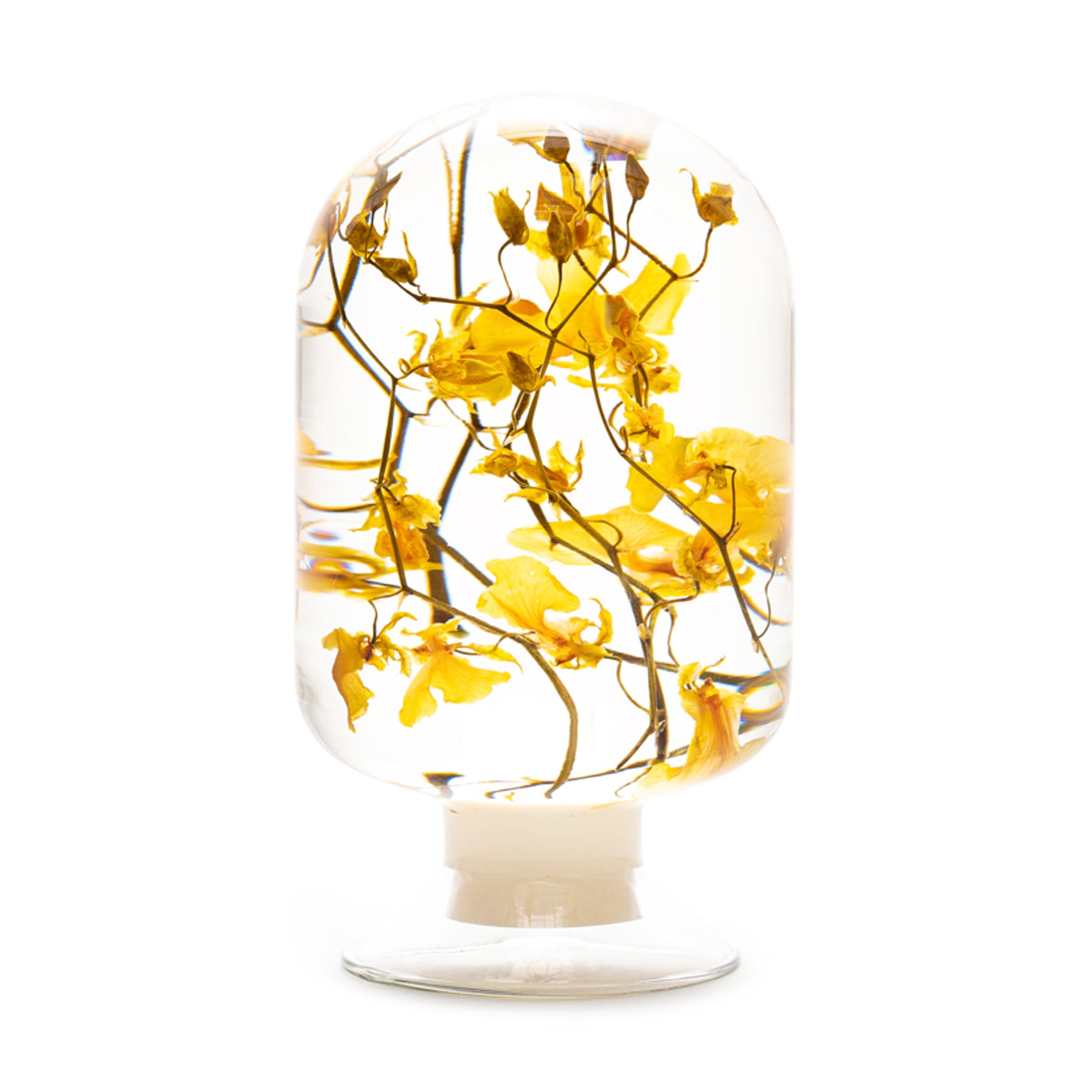 Pieces of Time Flower Objet d'Art - Yellow Oncidium – MoMA Design
