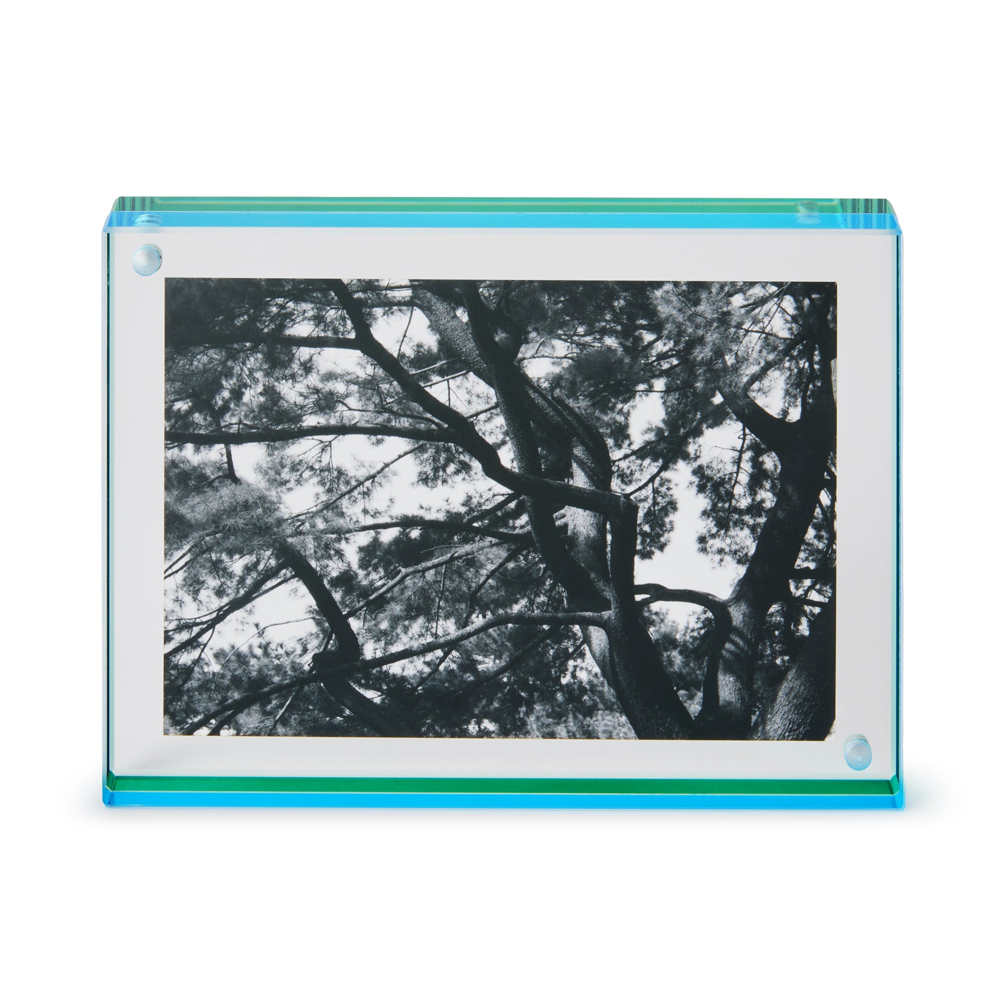 Nicolai Canetti Dual-Color Magnetic Picture Frame - Green/Aqua