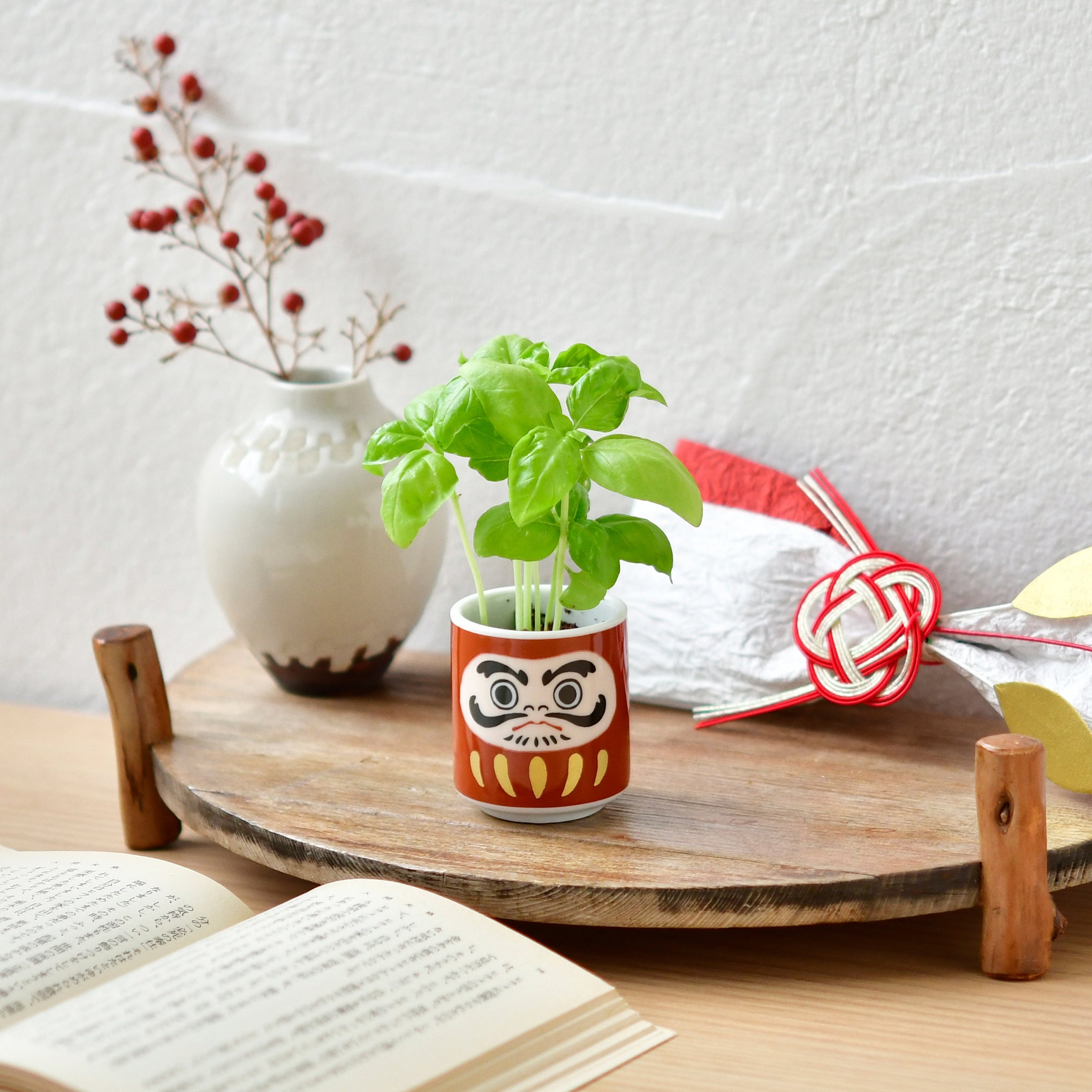 japanese plant pot Lucky Plant Daruma