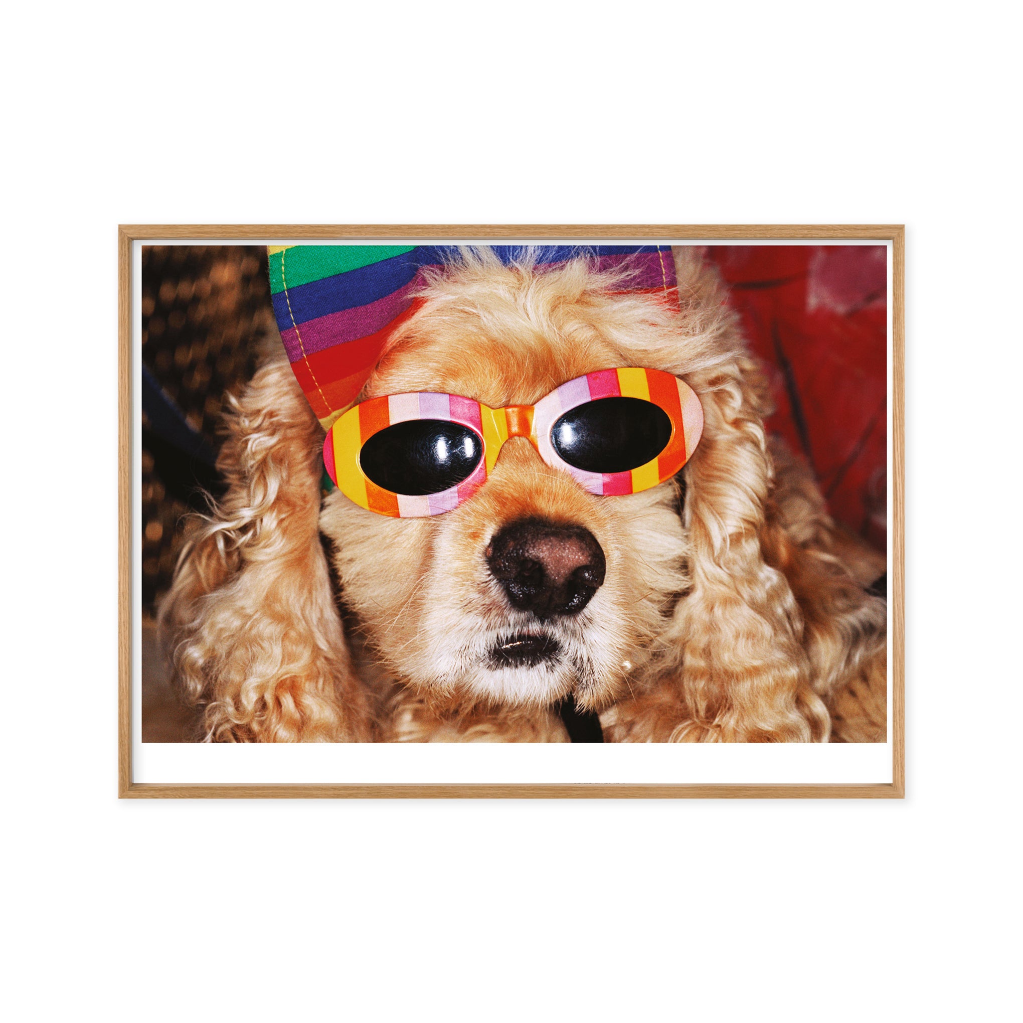 Martin Parr Venice Beach Framed Poster – MoMA Design Store