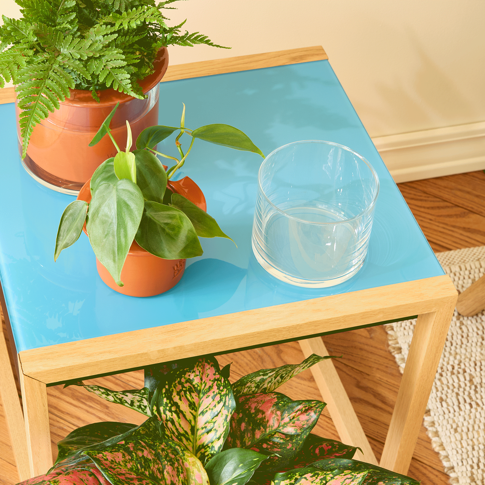 misco plant spa self watering pots MoMA Self Watering Pot