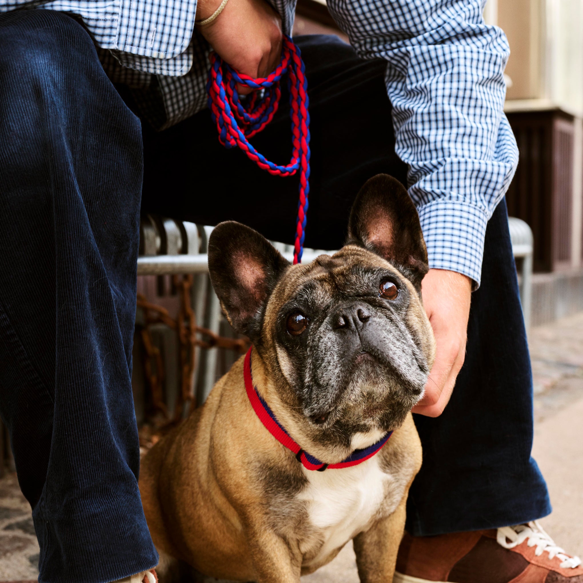 HAY Flat Dog Collar in Recycled Polyester Red/ Blue – MoMA