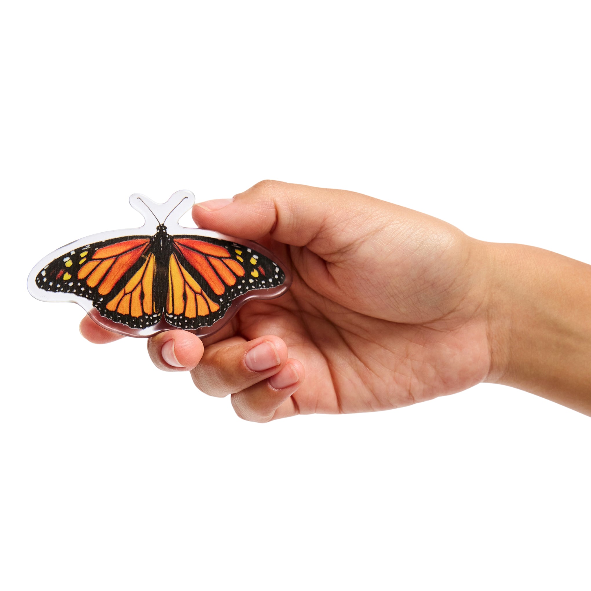 Chunks Monarch Butterfly Hair Barrette – MoMA Design Store