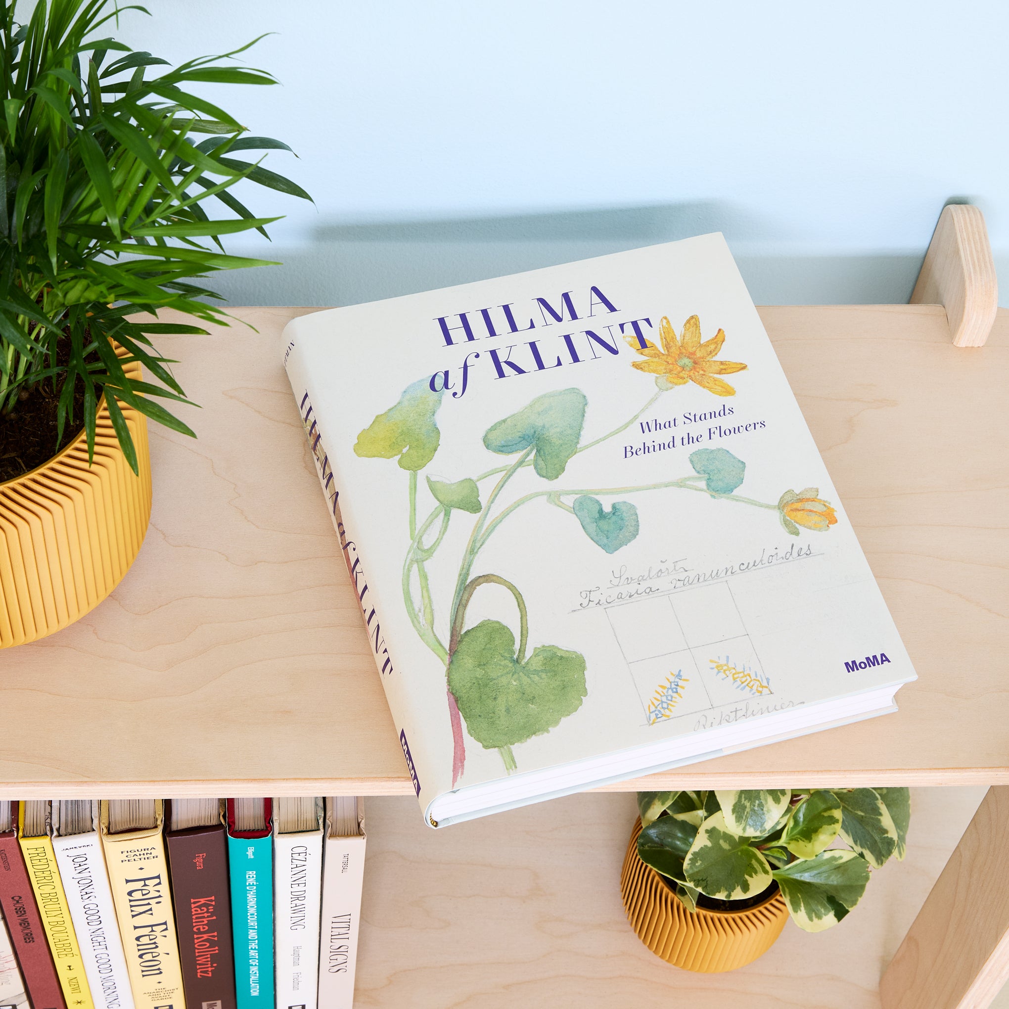 Hilma af Klint: What Stands Behind the Flowers – Hardcover – MoMA