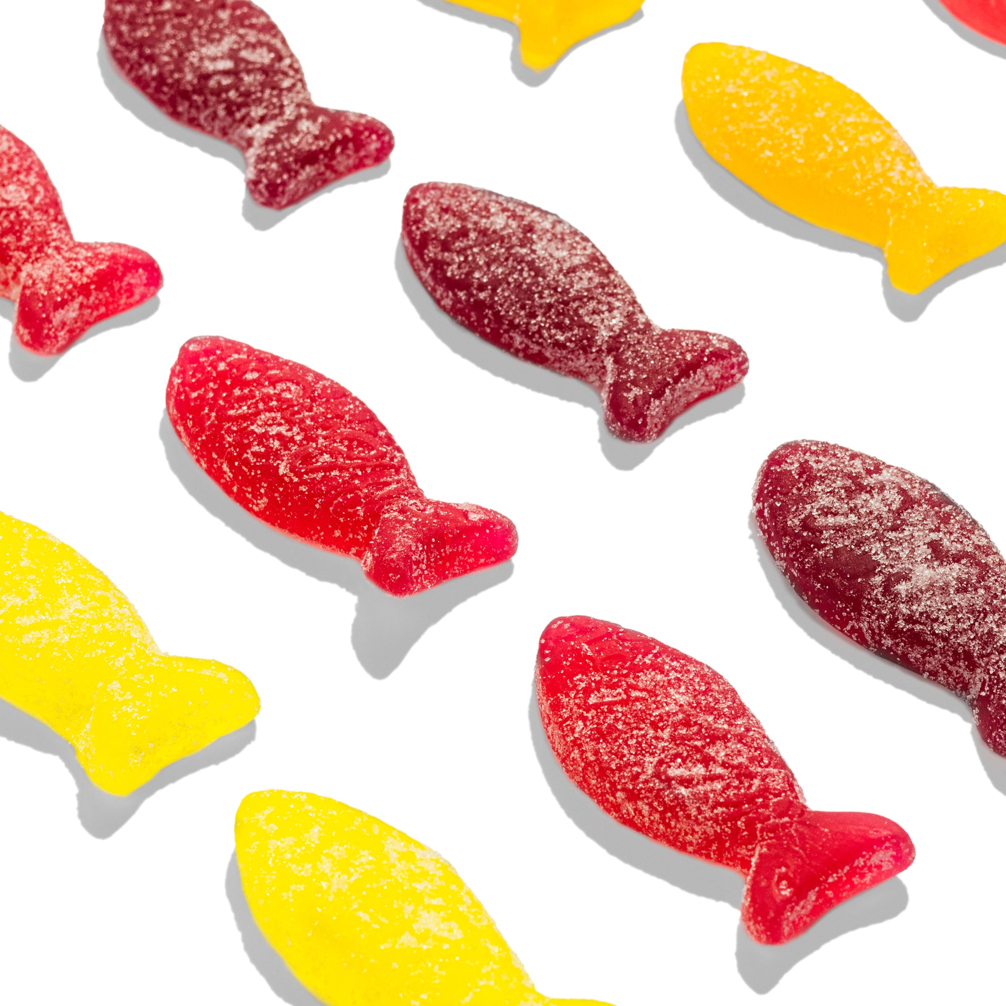 BonBon Gummy Fish Candy - Sour Blackberry – MoMA Design Store