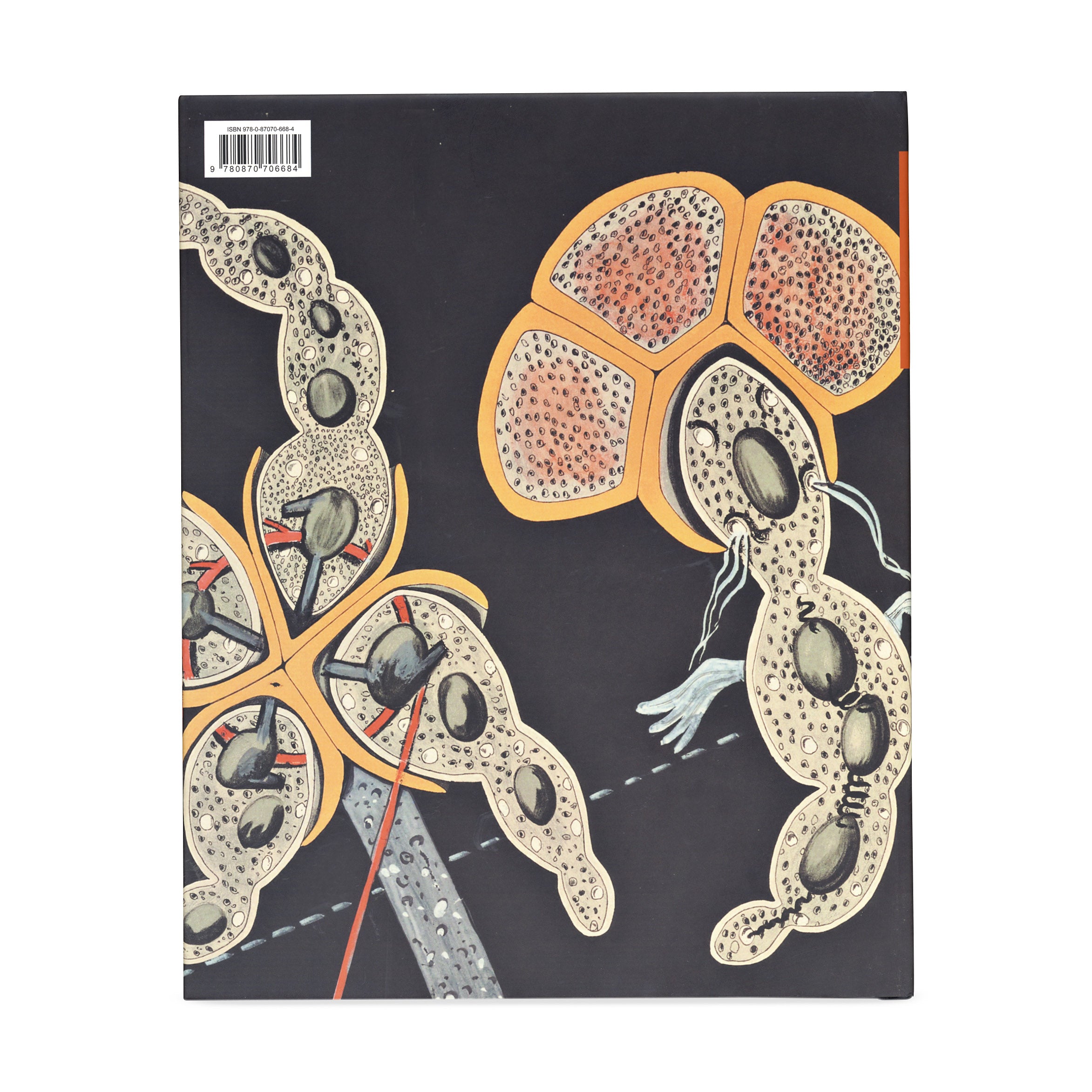 Dada in the Collection of The Museum of Modern Art - Hardcover