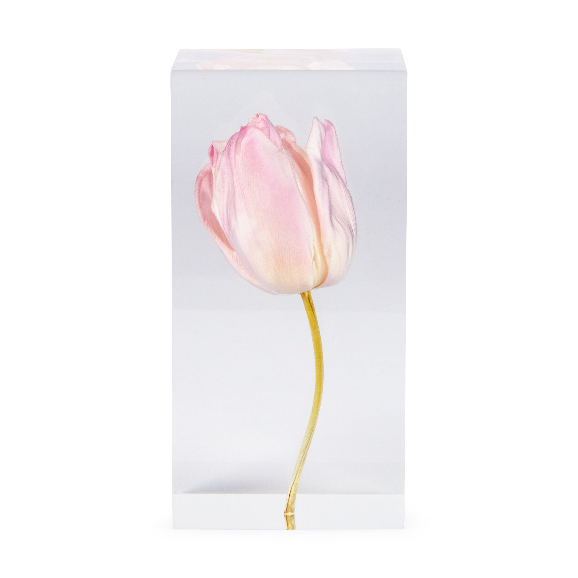 Pink Diamond Tulip Objet d'Art – MoMA Design Store