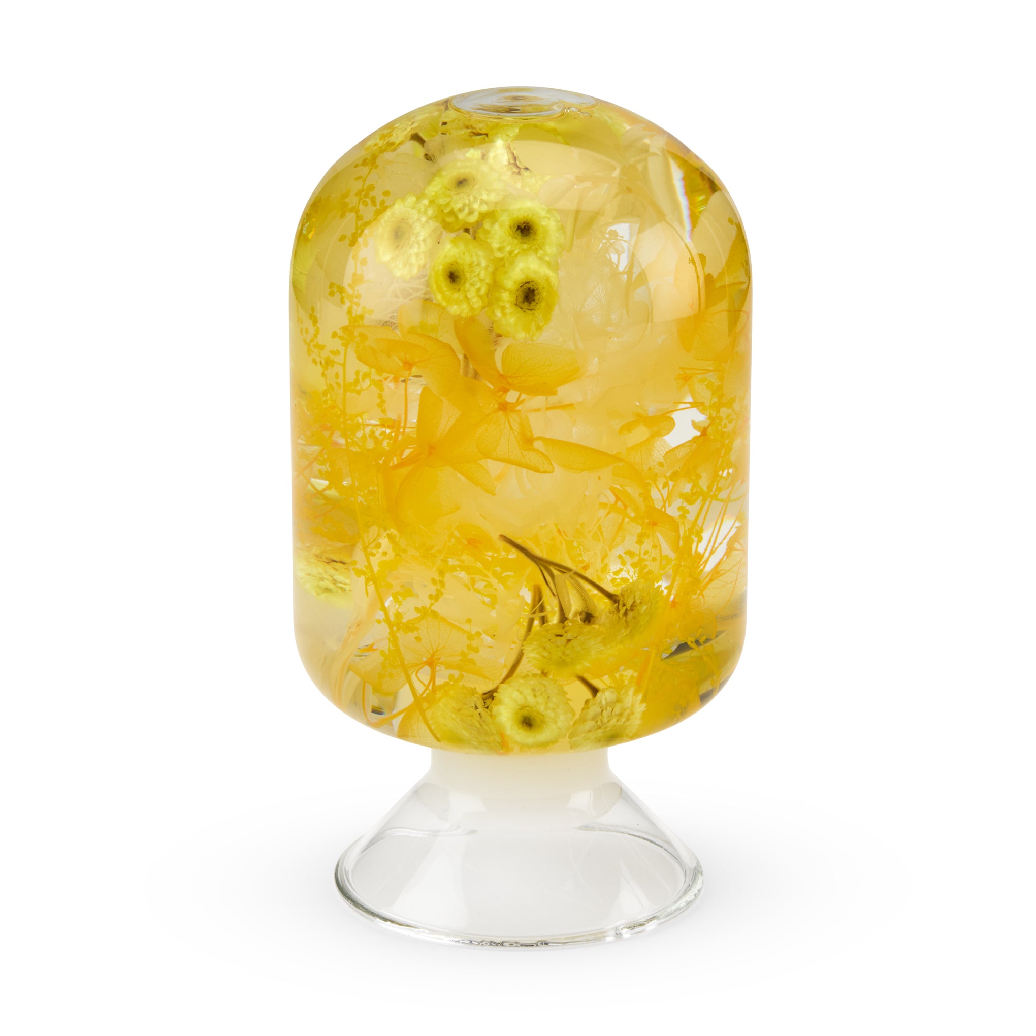 Pieces of Time Flower Objet d'Art - Yellow Immortelle – MoMA