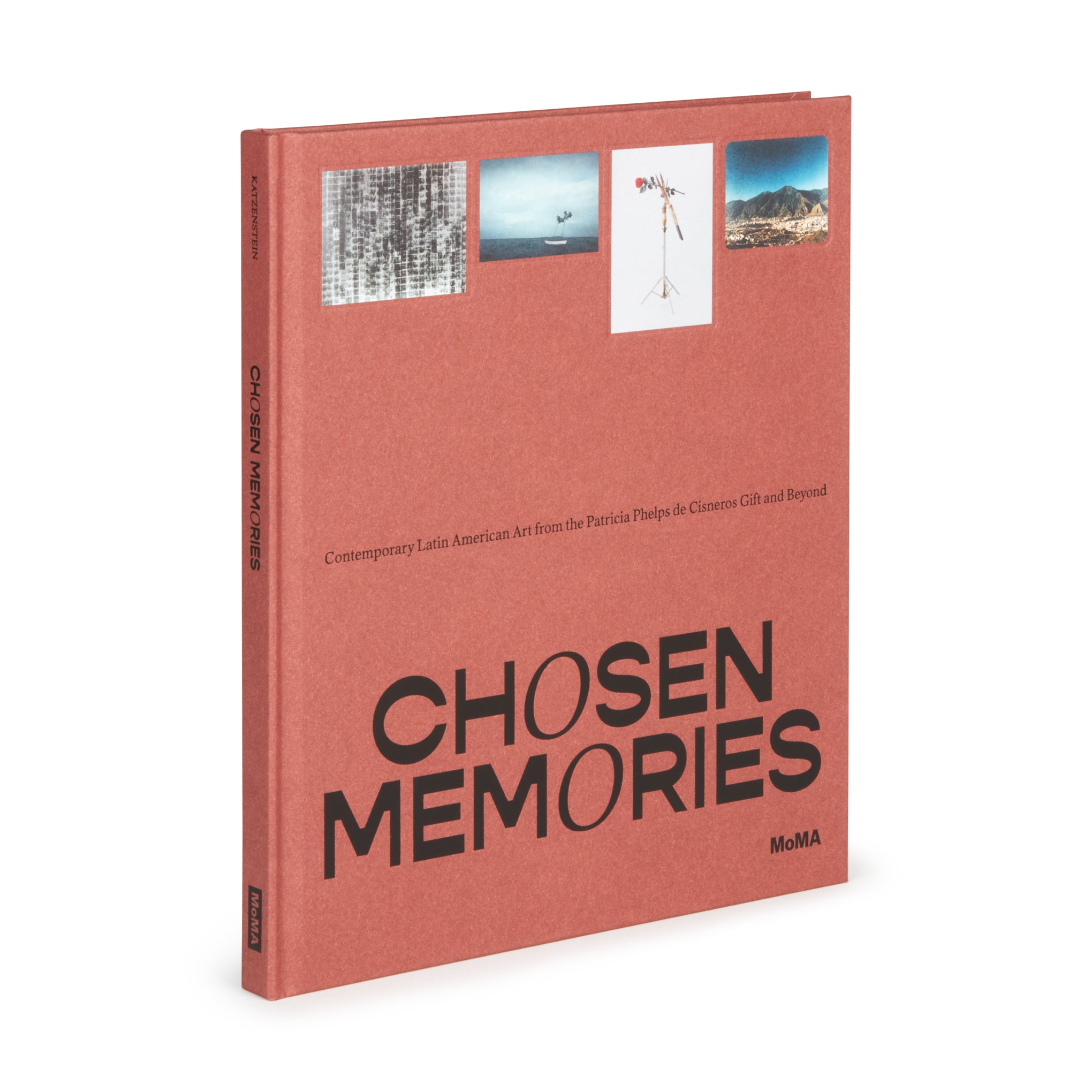 Chosen Memories: Contemporary Latin American Art from the Patricia