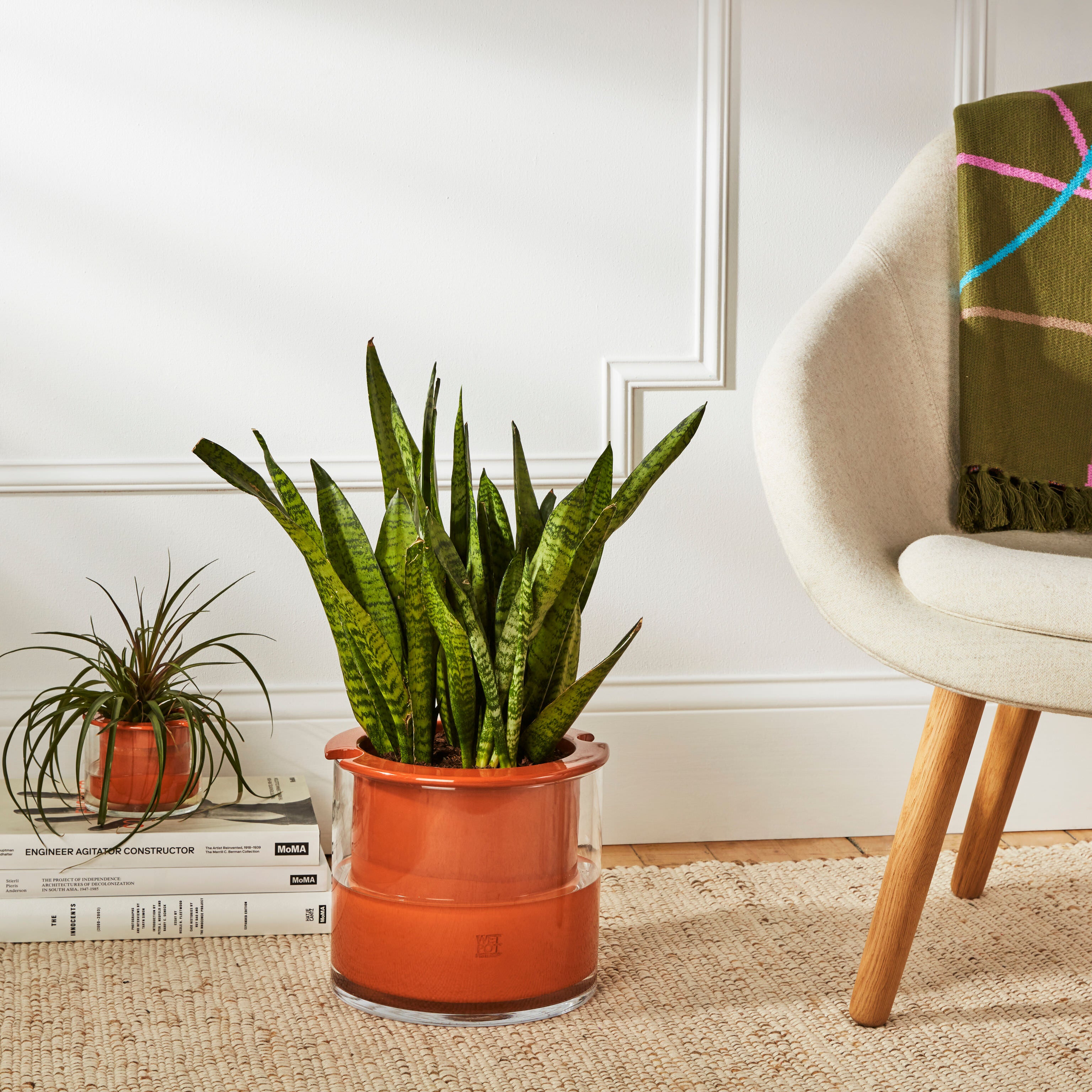 SelfWatering Wet Pots Large MoMA Design Store