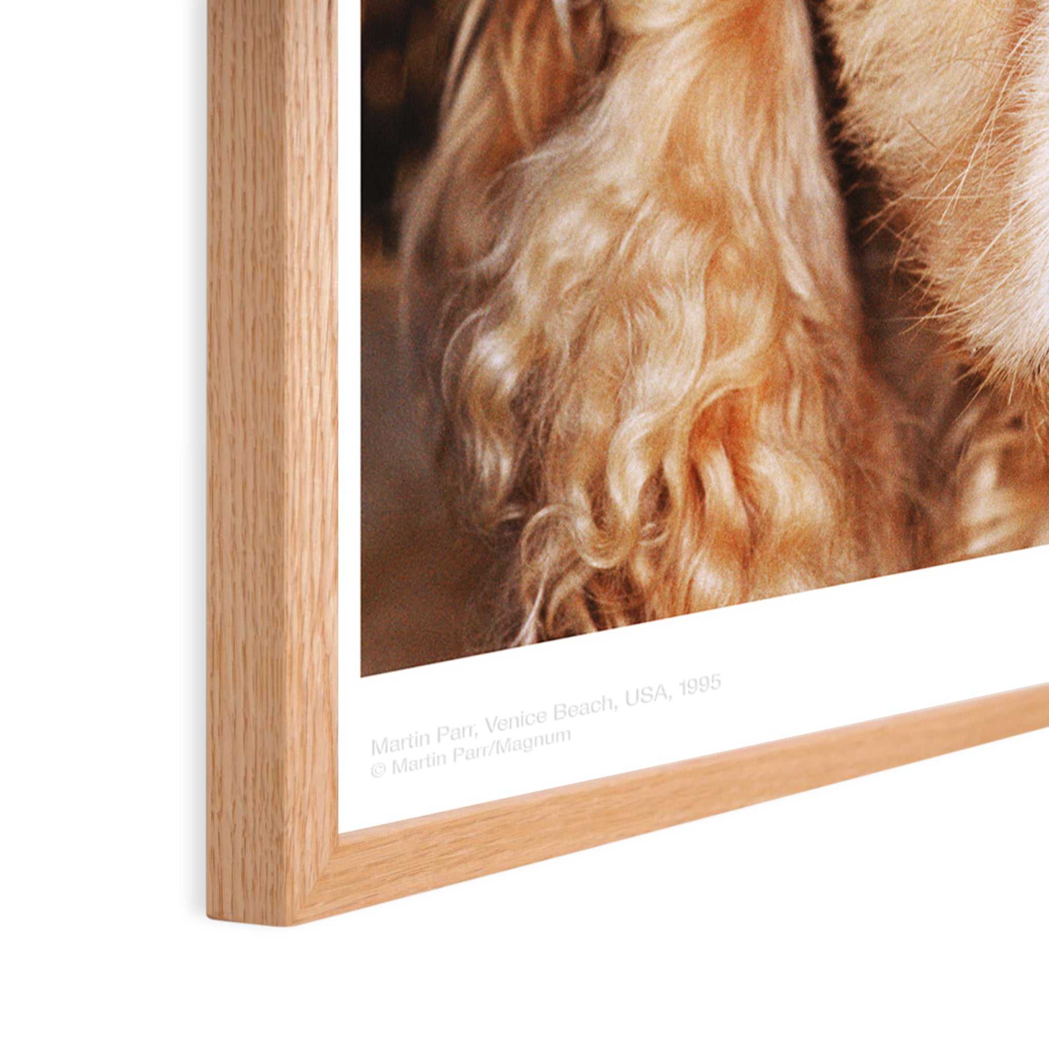 Martin Parr Venice Beach Framed Poster – MoMA Design Store