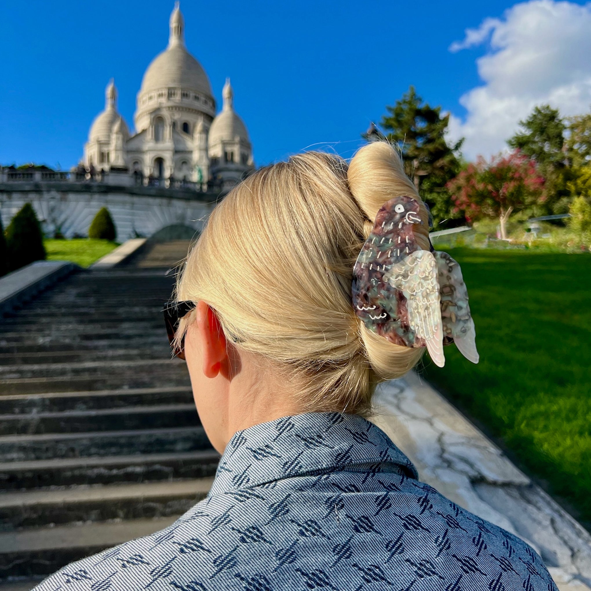 Solar Eclipse Hair Clip - Pigeon – MoMA Design Store