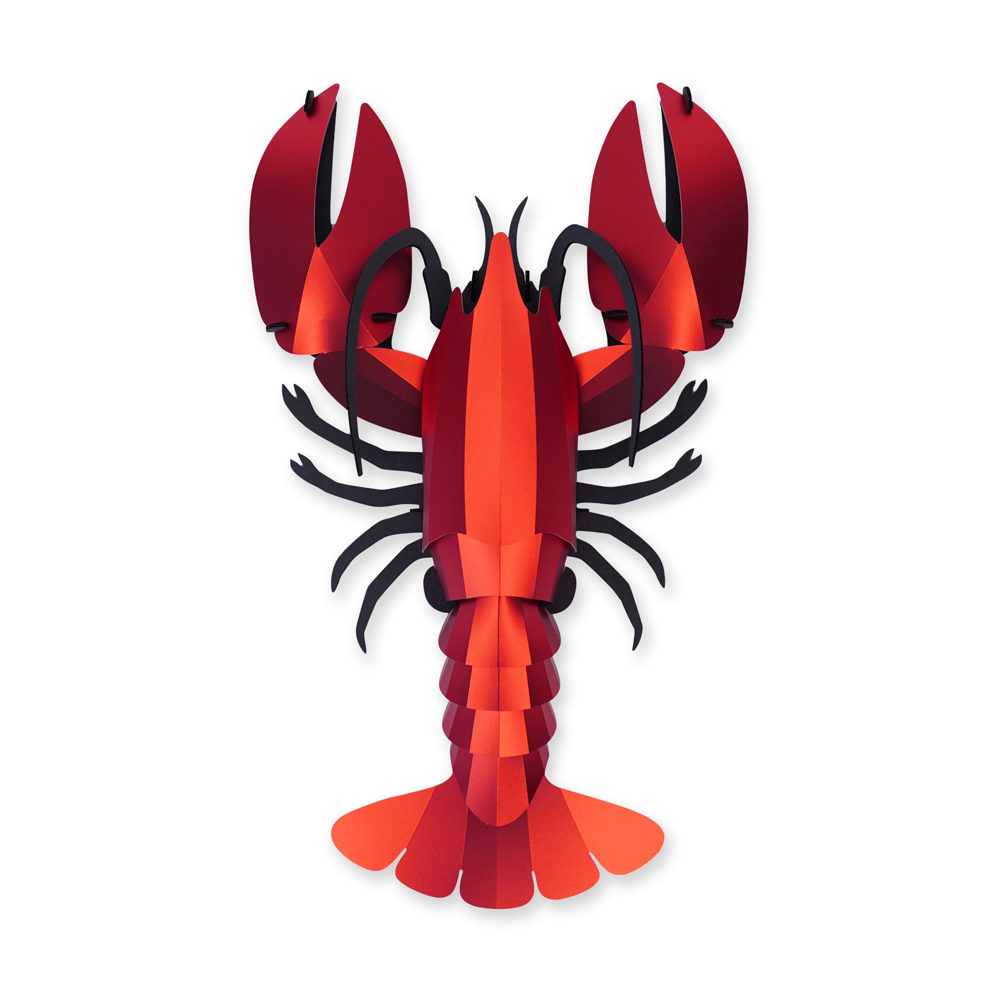 Assembli Shop DIY Reflective Paper Kit - Lobster – MoMA Design Store