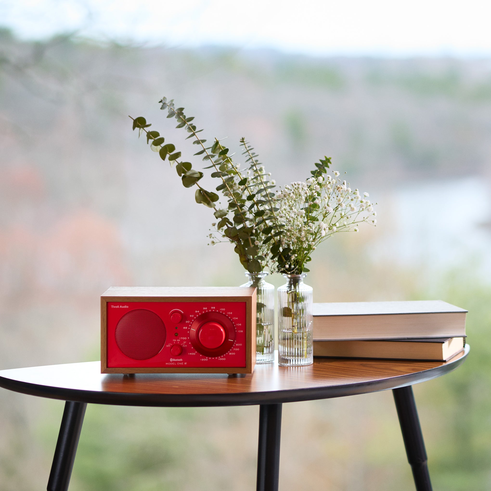 Tivoli Model One Bluetooth Radio - BT 70s Poppy Red – MoMA Design