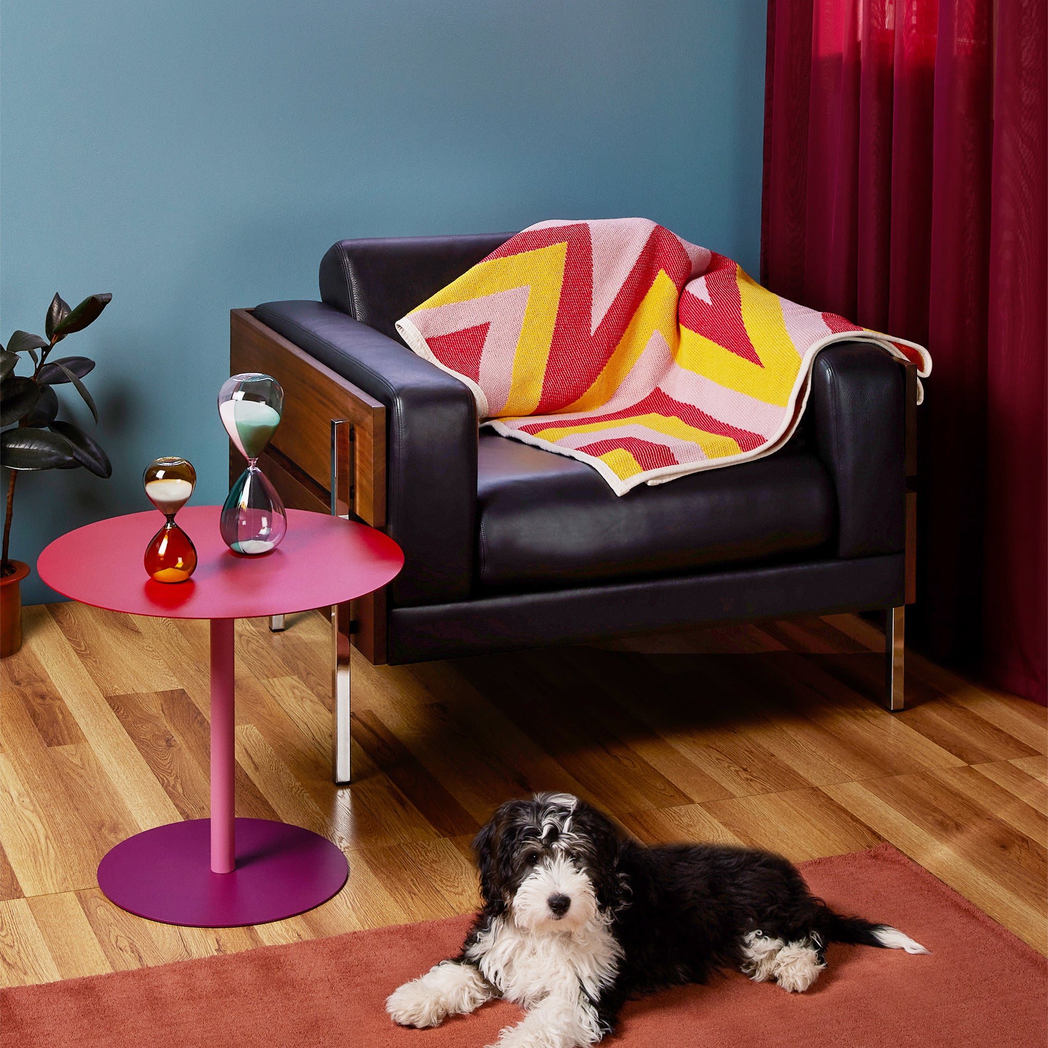 Forum Armchair - Walnut/ Black Leather – MoMA Design Store