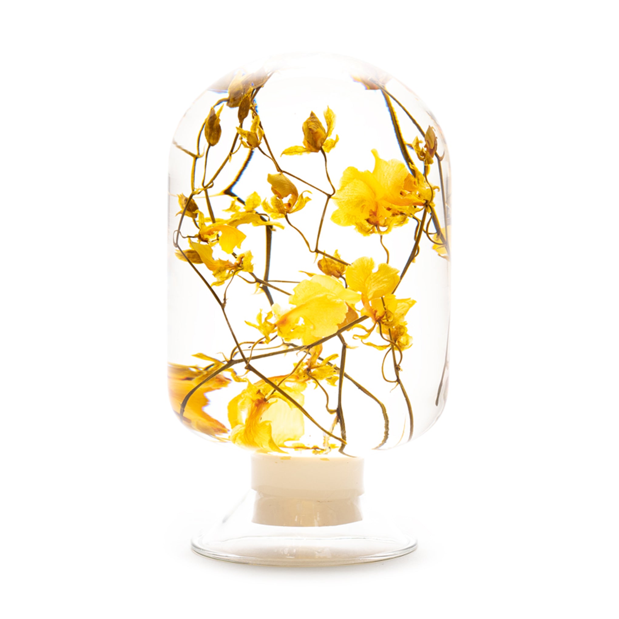Pieces of Time Flower Objet d'Art - Yellow Oncidium – MoMA Design