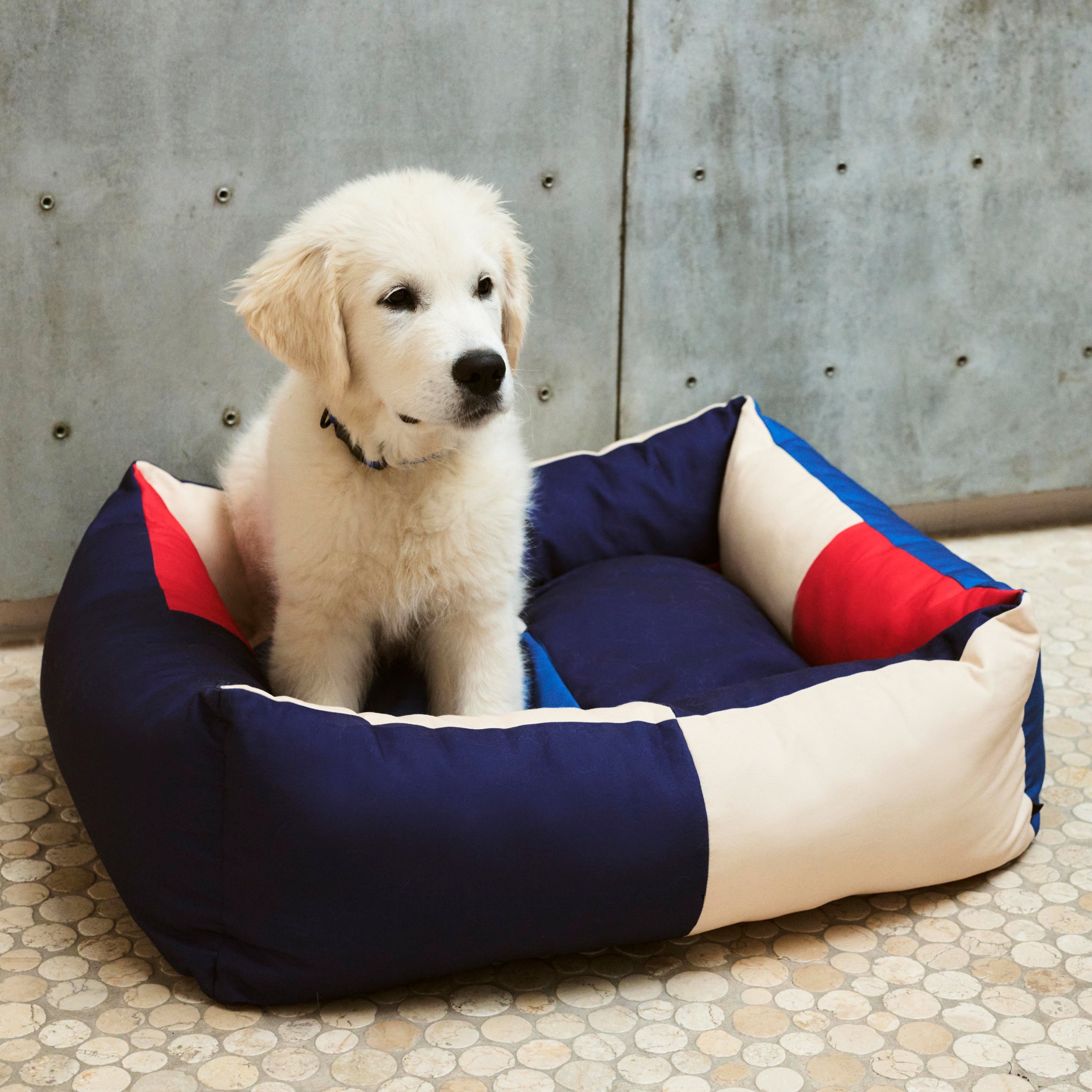 HAY Dog Bed in Recycled Polyester - Red/ Blue – MoMA Design Store