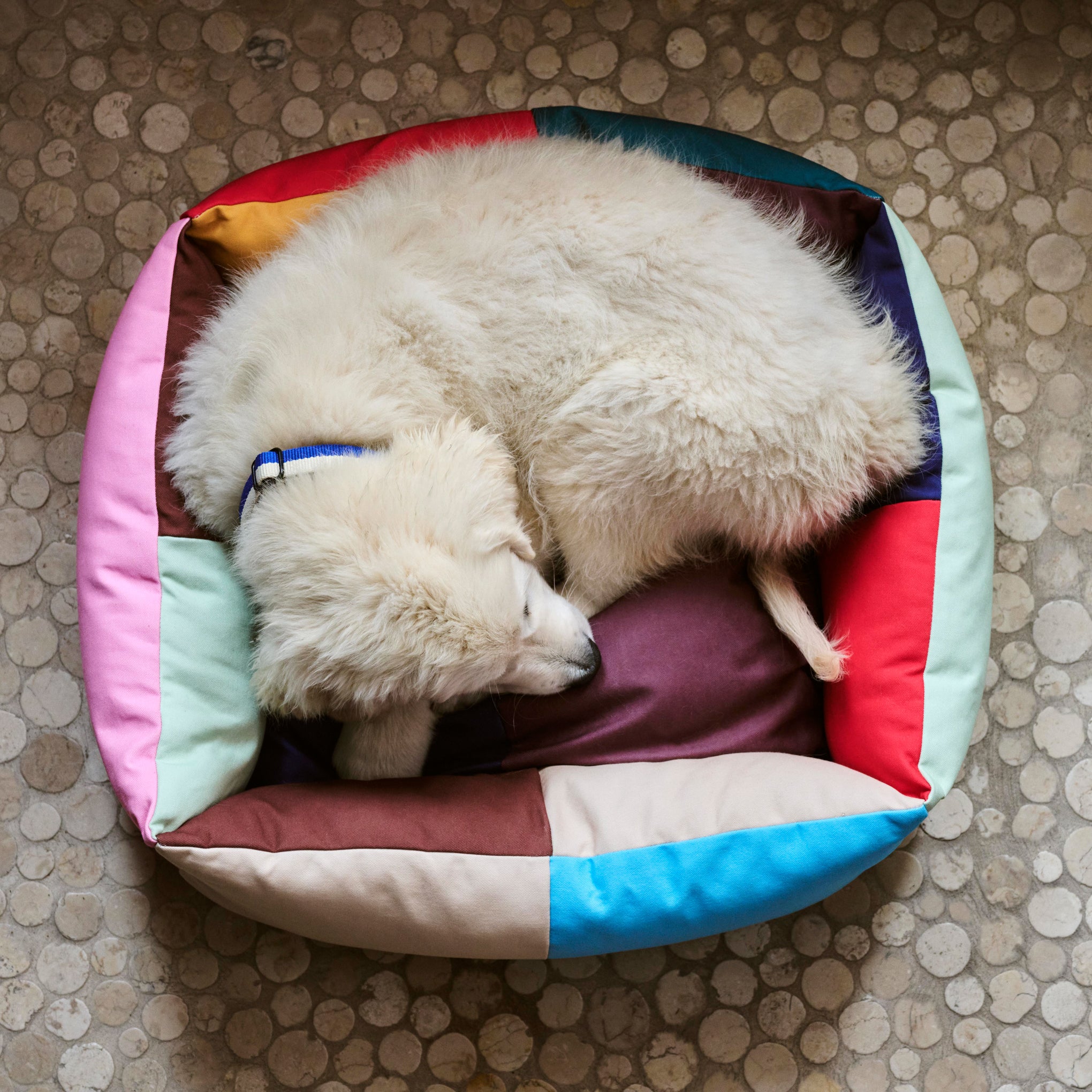HAY Dog Bed in Recycled Polyester - Multi – MoMA Design Store