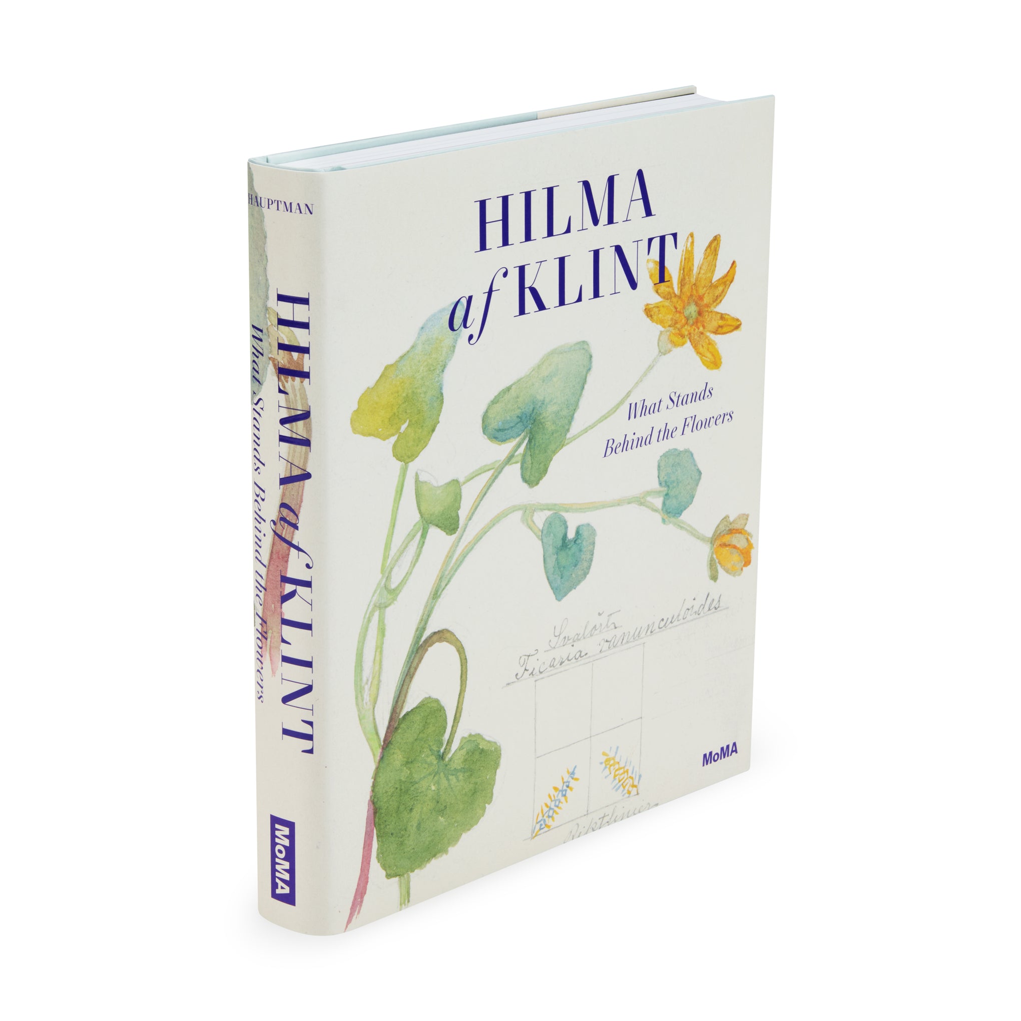 Hilma af Klint: What Stands Behind the Flowers – Hardcover – MoMA