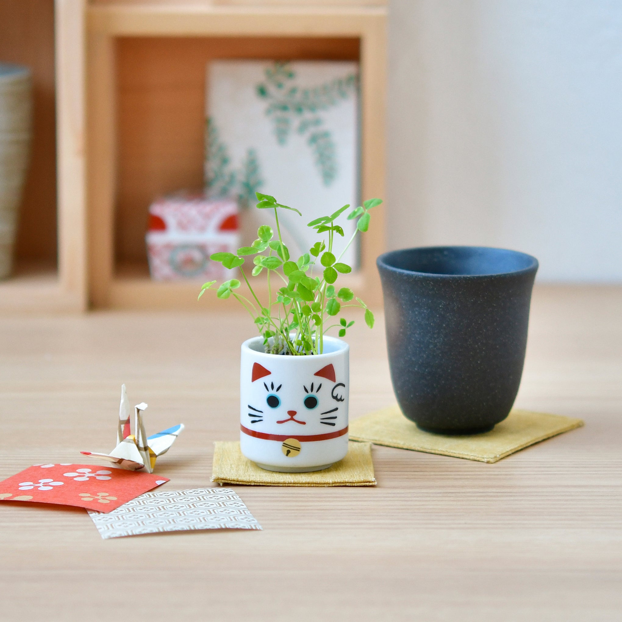 cheap cute plant pots Lucky Mini Planter Kit