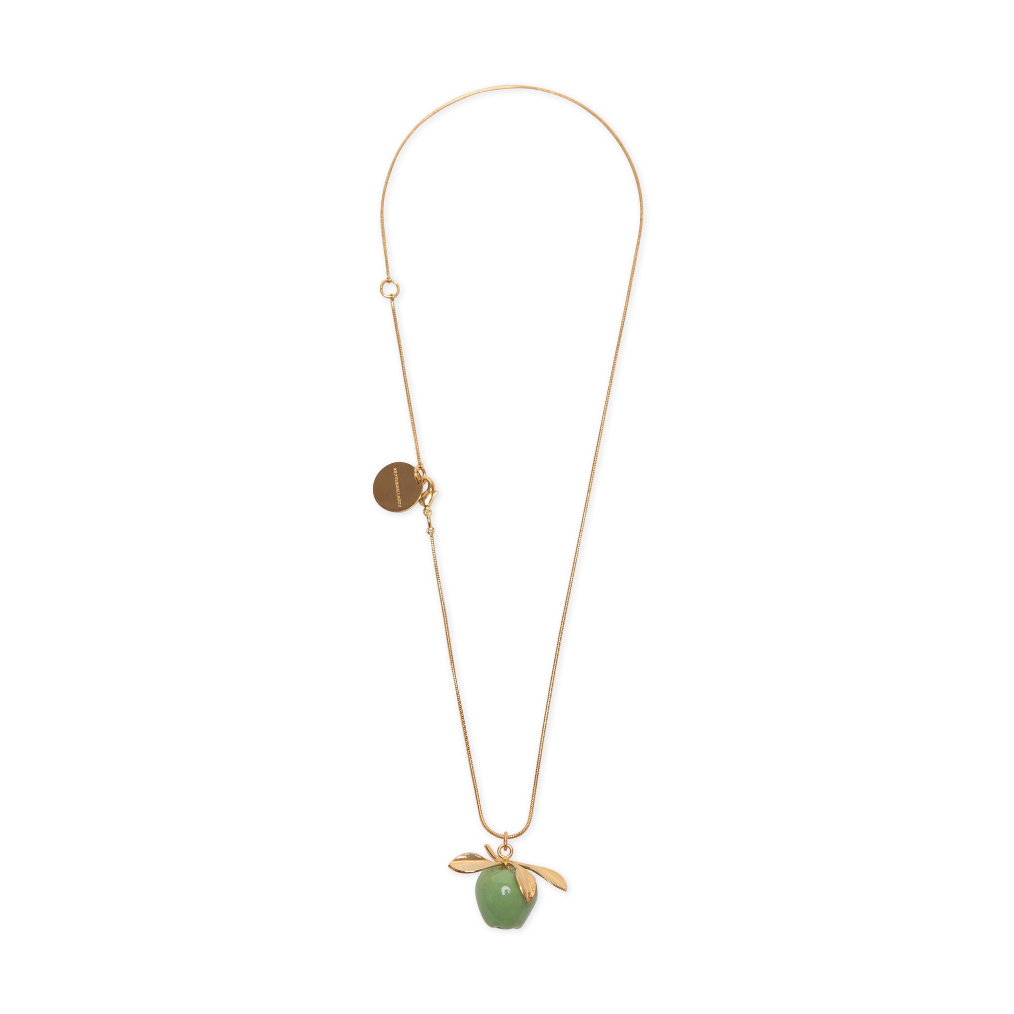Andrés Gallardo Green Apple Stem Gold-Plated Necklace – MoMA