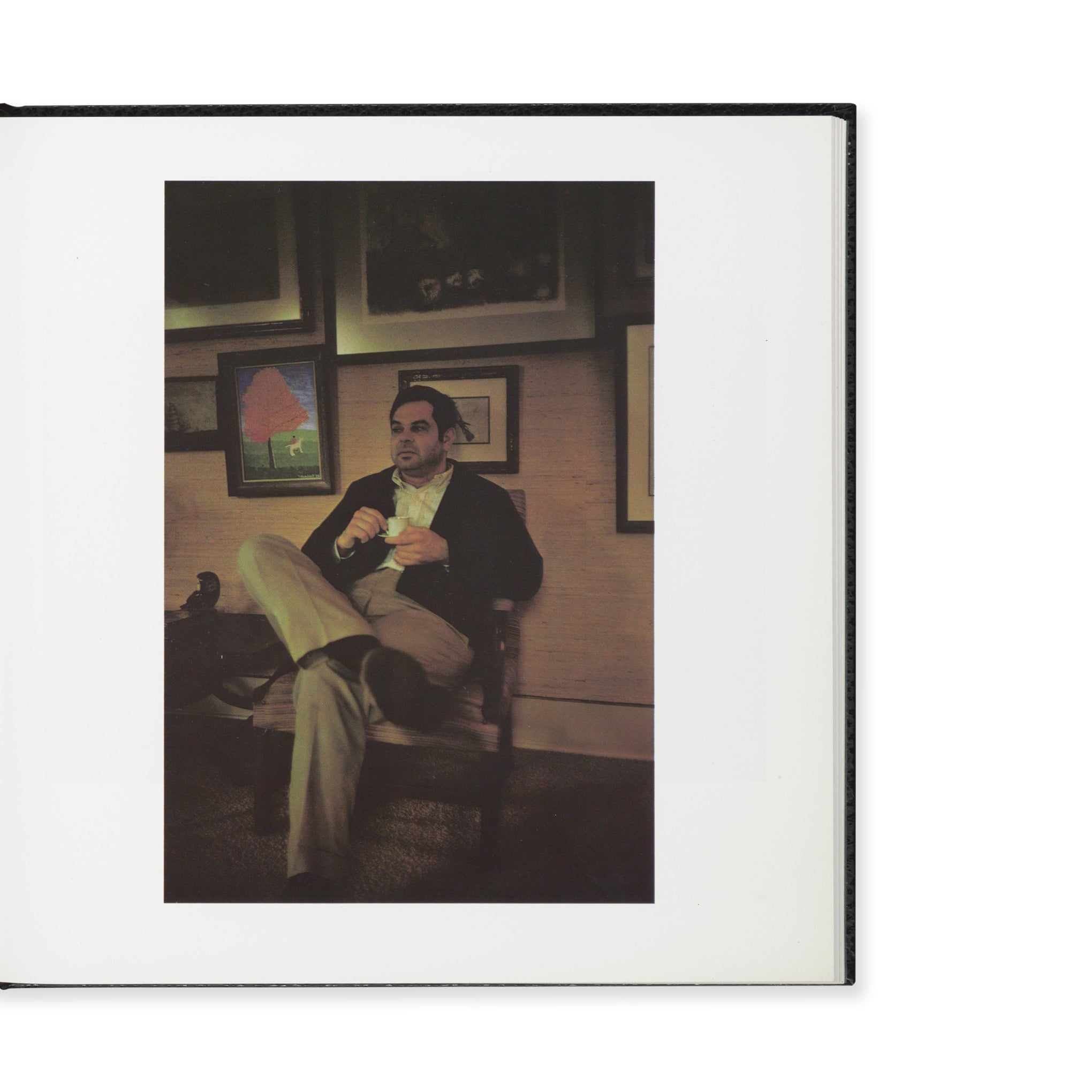 アート・デザイン・音楽 William Eggleston's Guide second edition