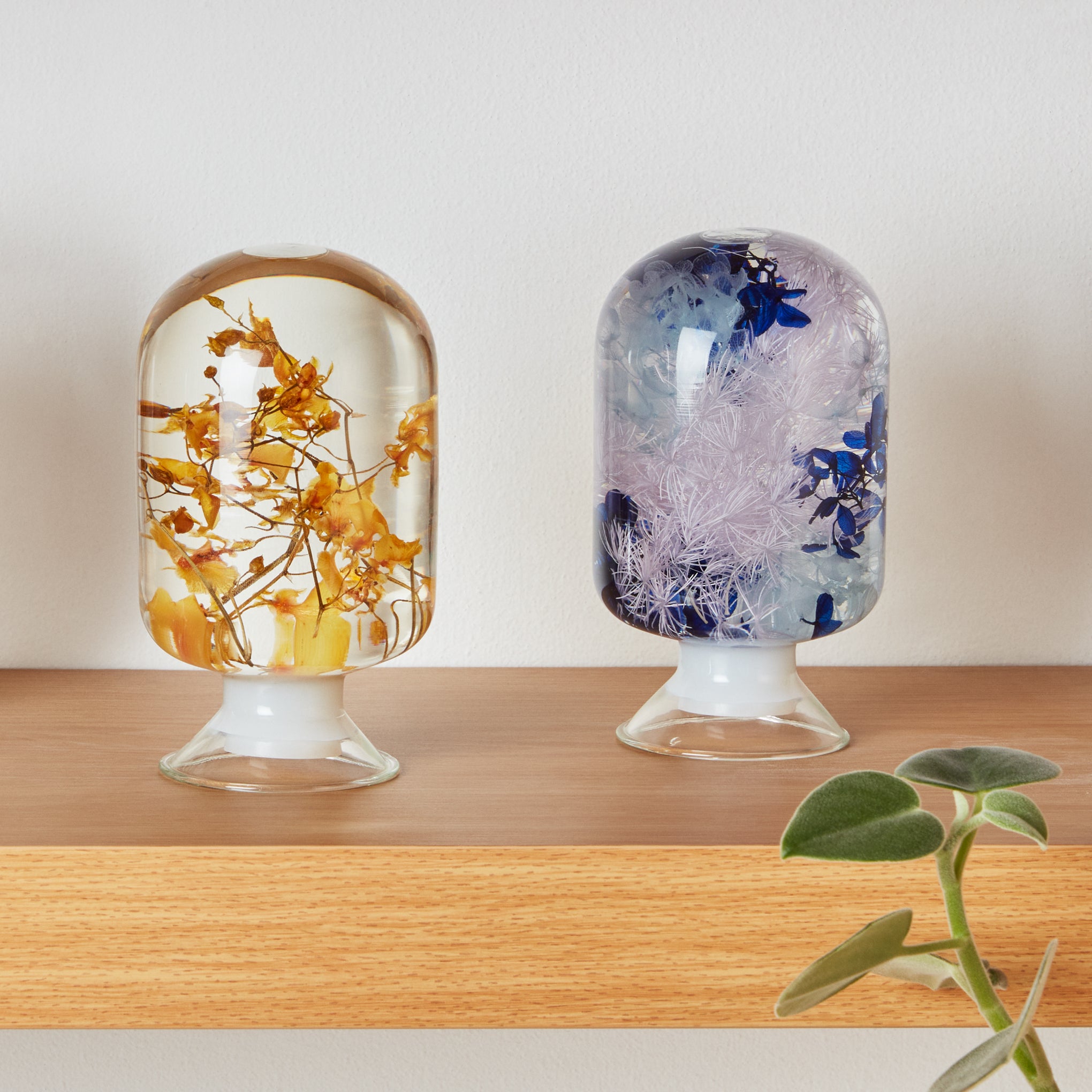 Pieces of Time フラワーオブジェ イエロー パープル MoMA Pieces of Time Flower Objet d'Art - Yellow Oncidium – MoMA Design