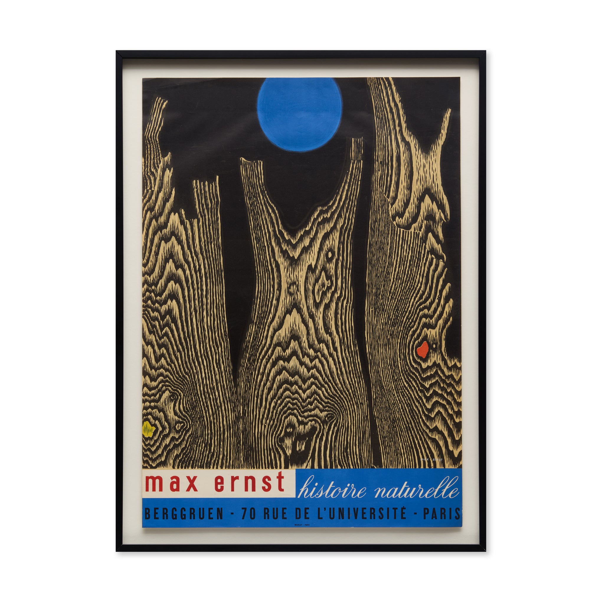 Max Ernst histoire naturelle　博物誌 Max Ernst Histoire Naturelle Framed Poster – MoMA Design Store