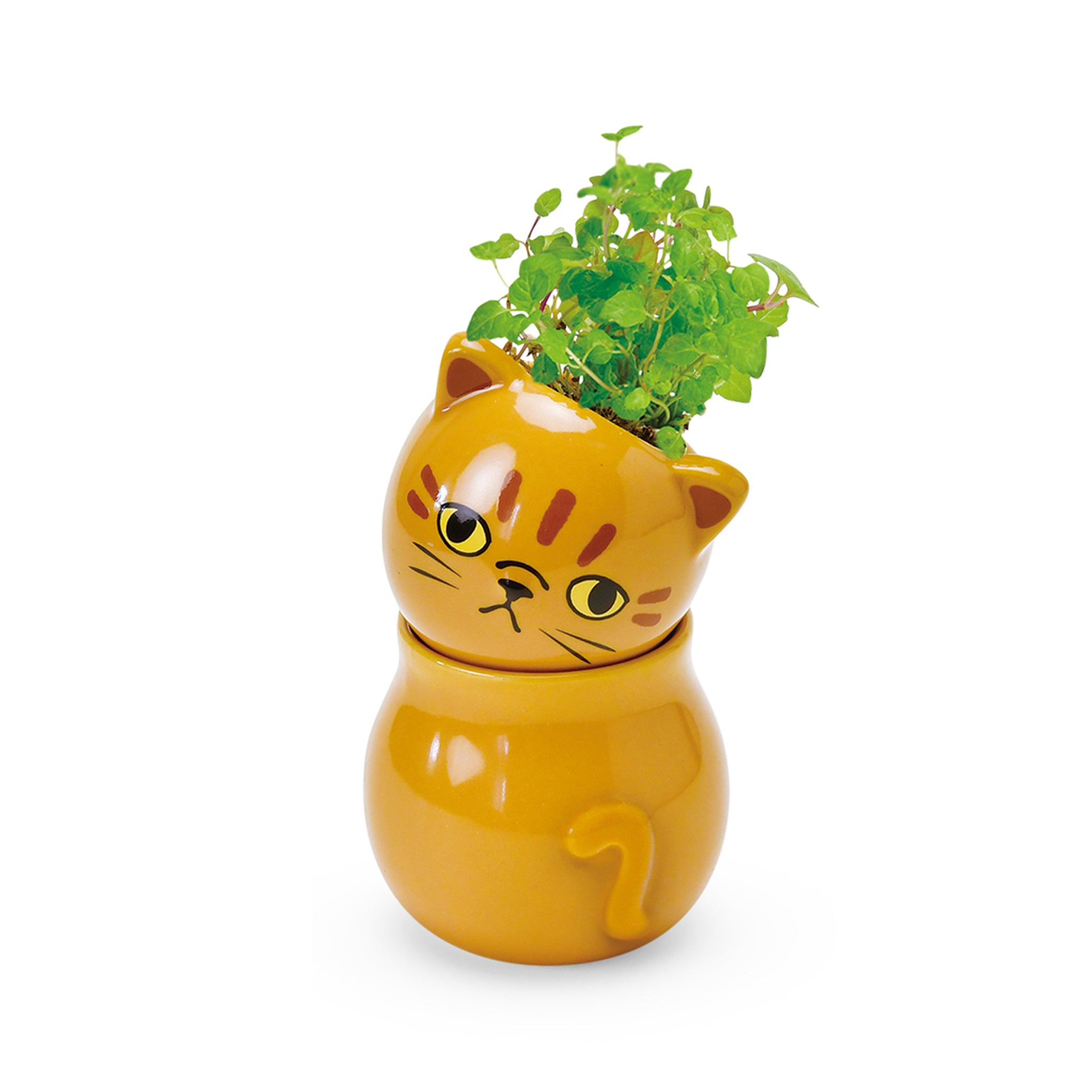 Corocoro Cat Planter - Single – MoMA Design Store