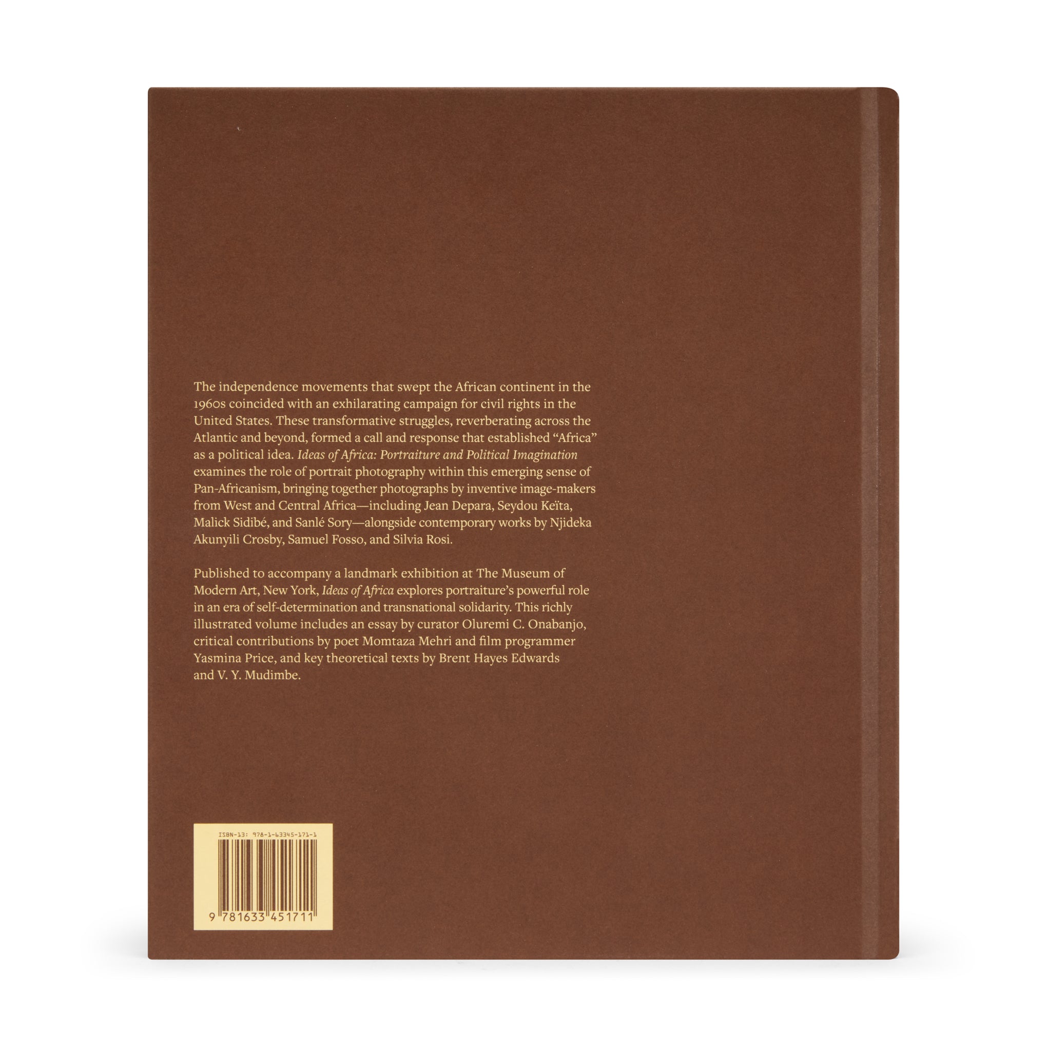 Ideas of Africa: Portraiture and Political Imagination - Hardcover