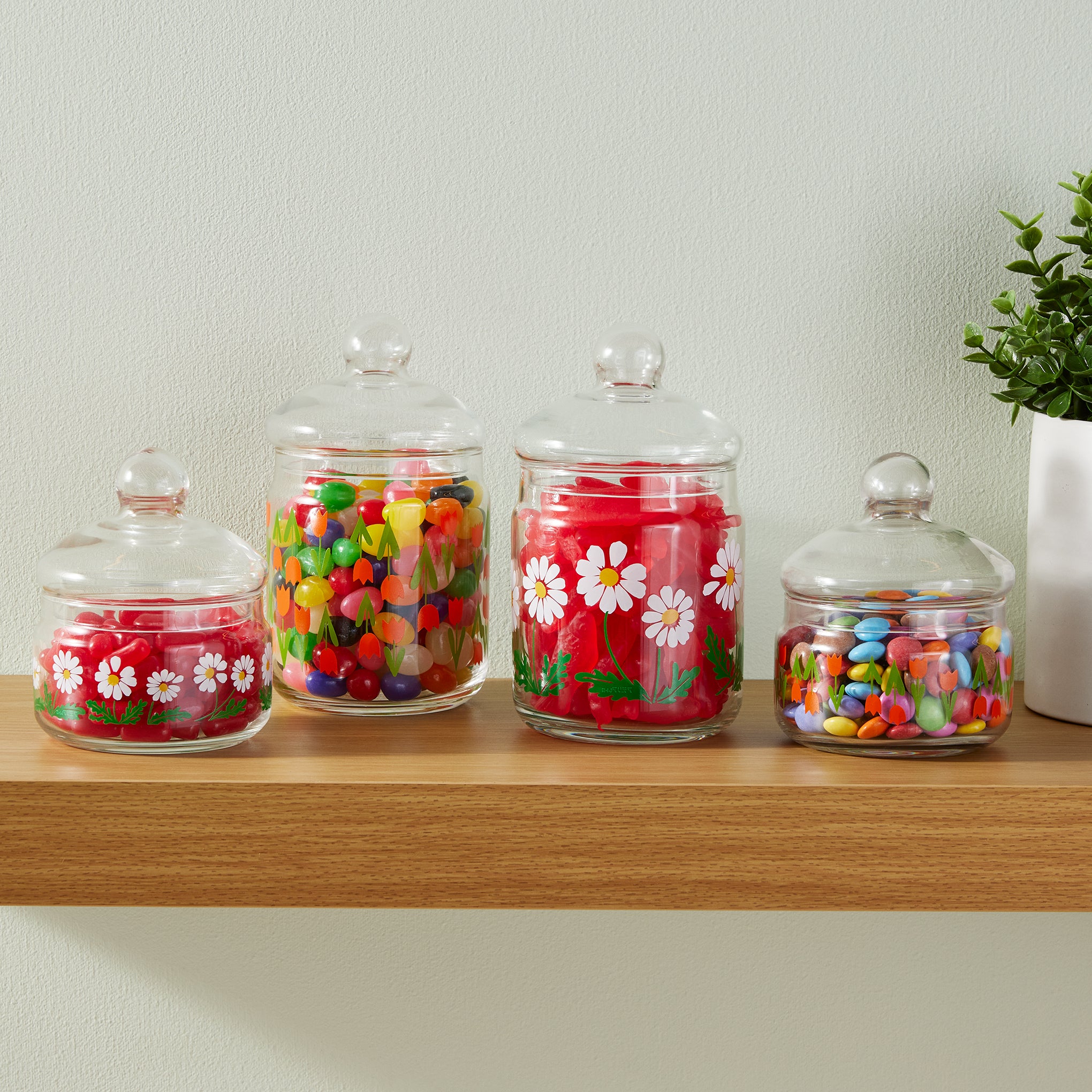 Retro Glass Jar with Lid - Growing Daisies – MoMA Design Store