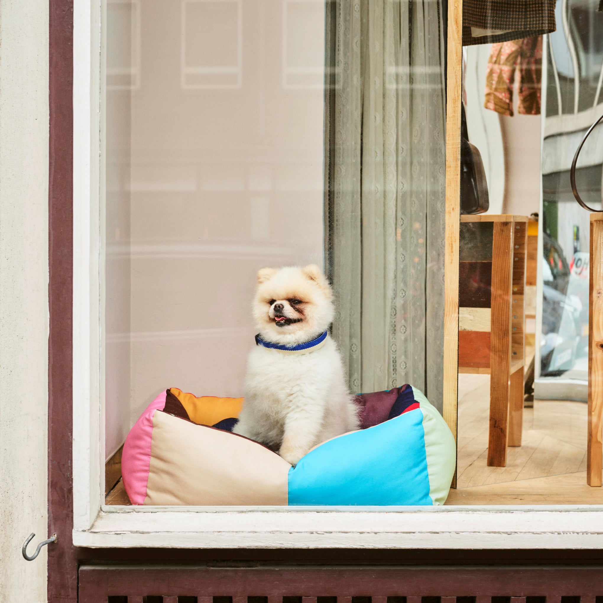 HAY Dog Bed in Recycled Polyester - Multi – MoMA Design Store