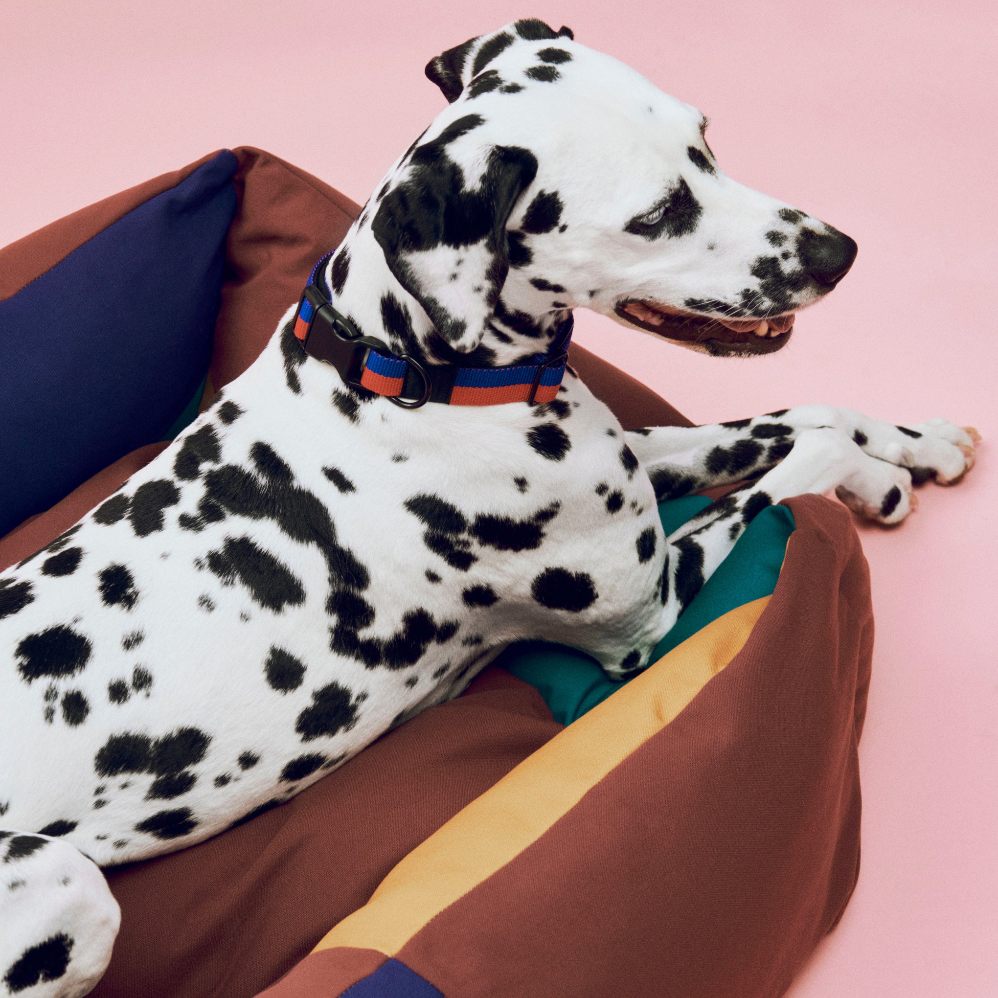 HAY Dog Bed in Recycled Polyester - Multi – MoMA Design Store