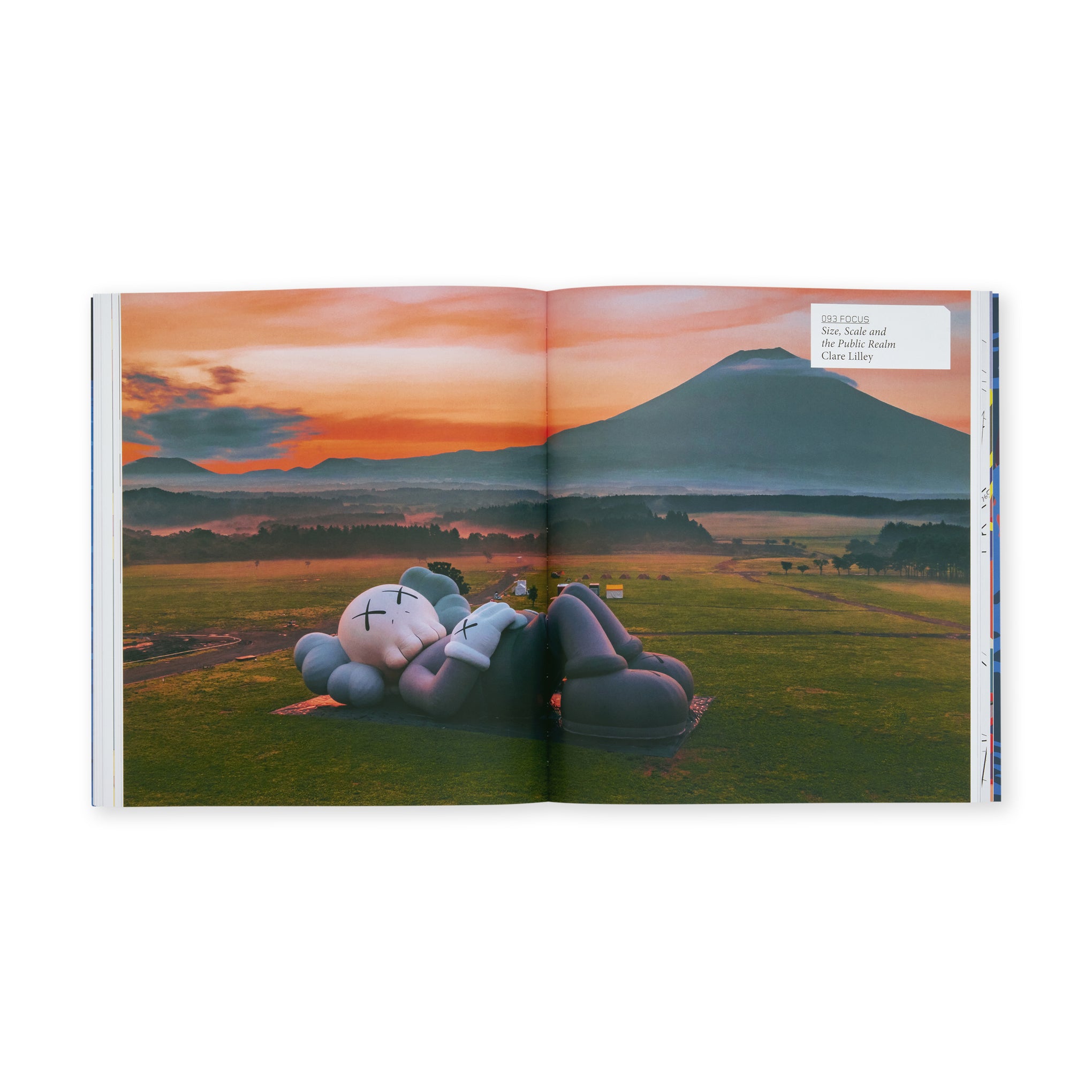 KAWS (Contemporary Artist Series) - Paperback – MoMA Design Store