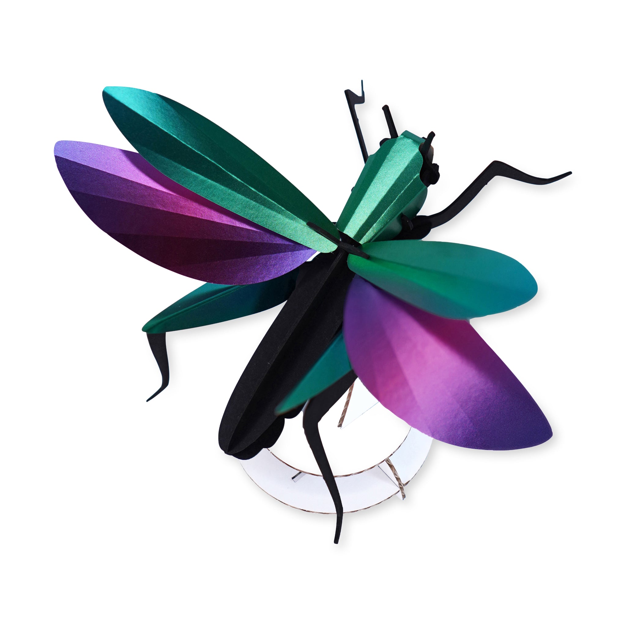 Assembli Shop DIY Reflective Paper Kit - Grasshopper – MoMA Design Store