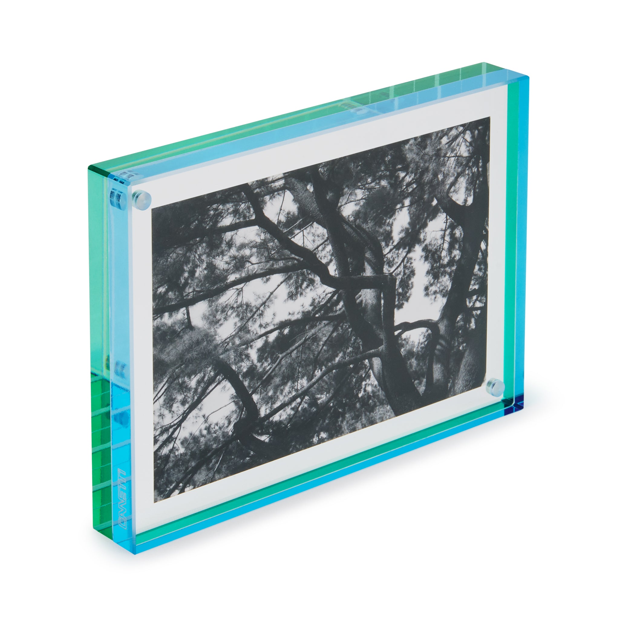 Nicolai Canetti Dual-Color Magnetic Picture Frame - Green/Aqua