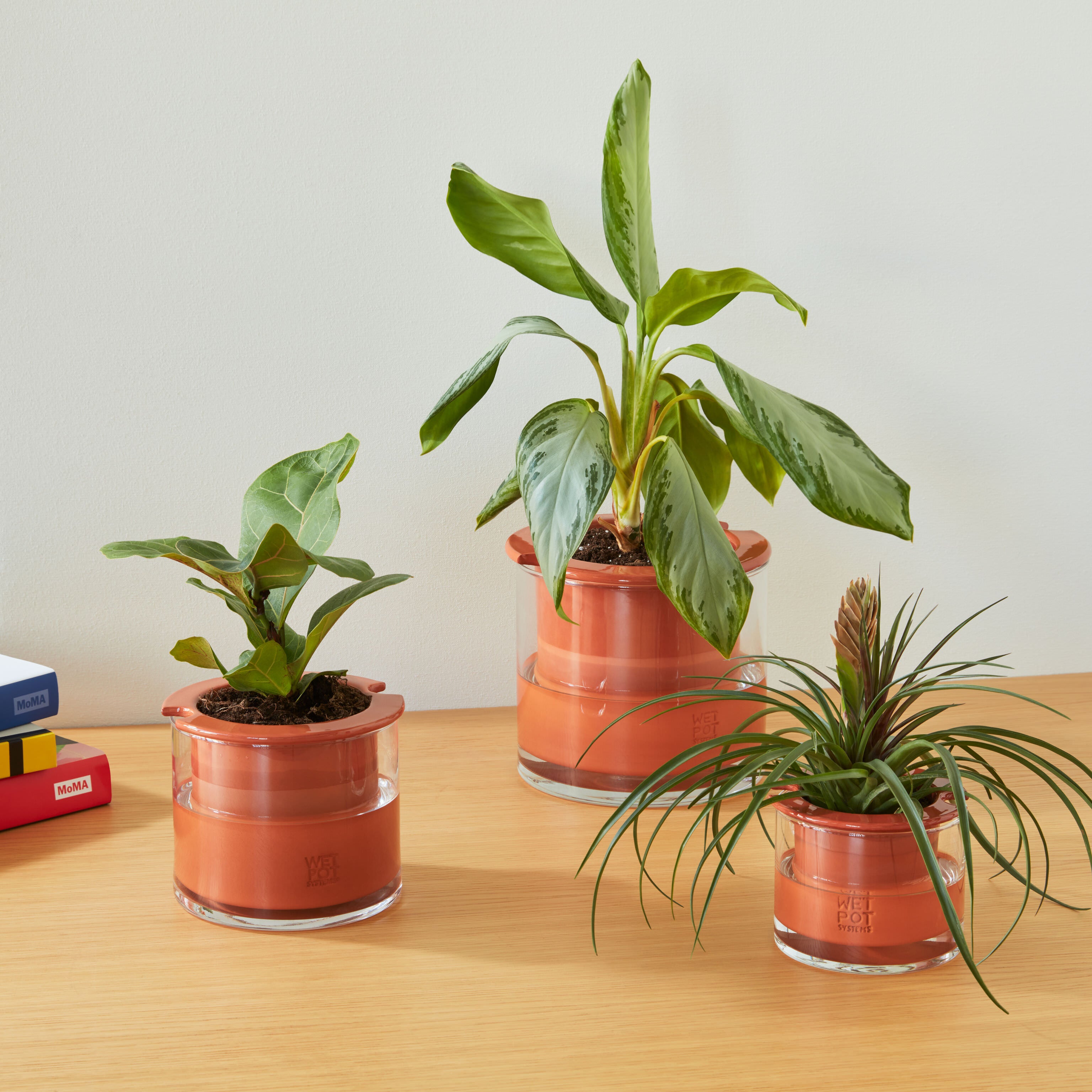 self-watering wet pot planter MoMA Self Watering Pot