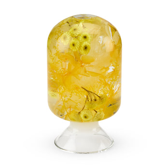 置物  scope Art Flora Pieces of Time Flower Objet d'Art - Yellow Immortelle – MoMA