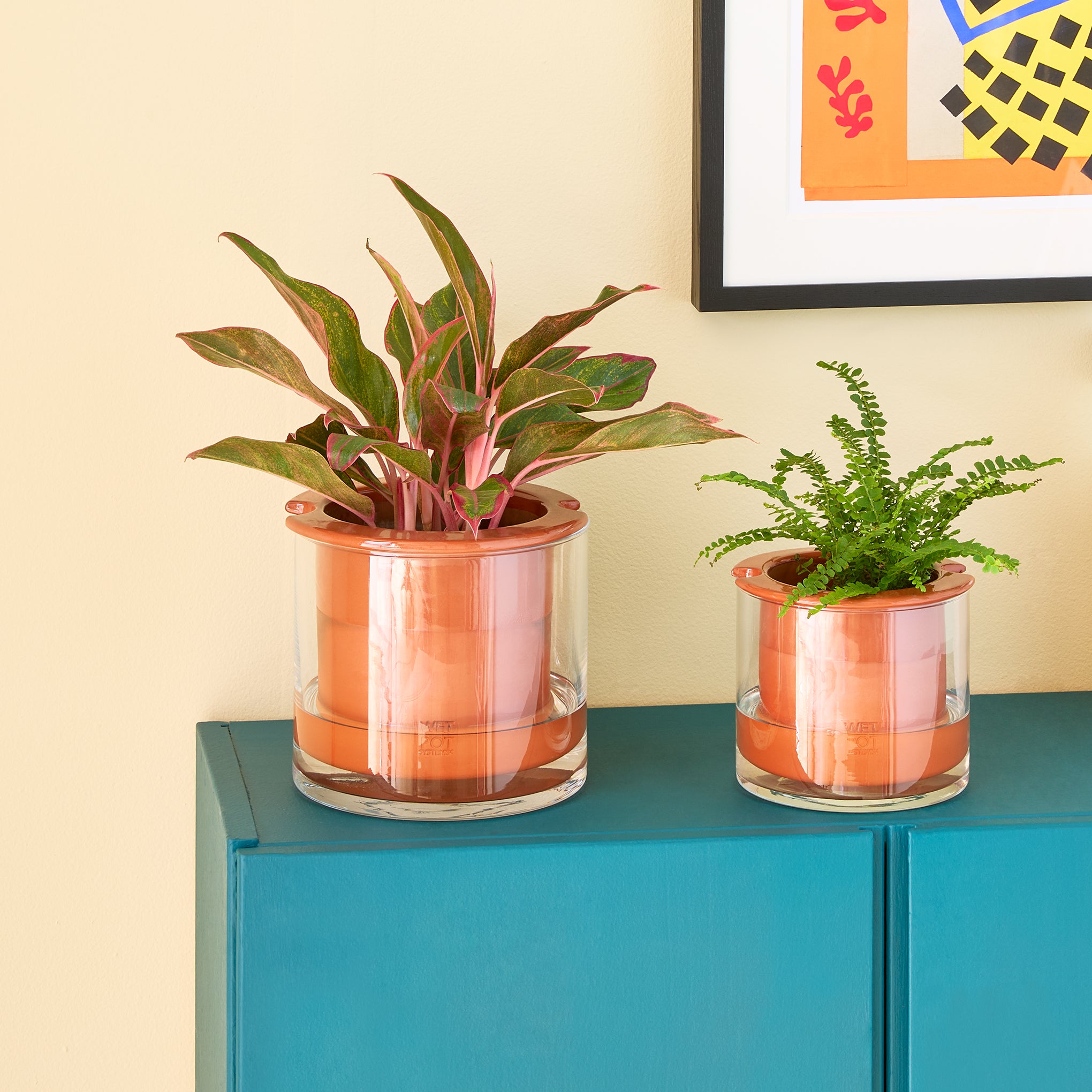 plant pot that waters itself MoMA Self Watering Pot
