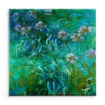 Claude Monet: Agapanthus Magnet