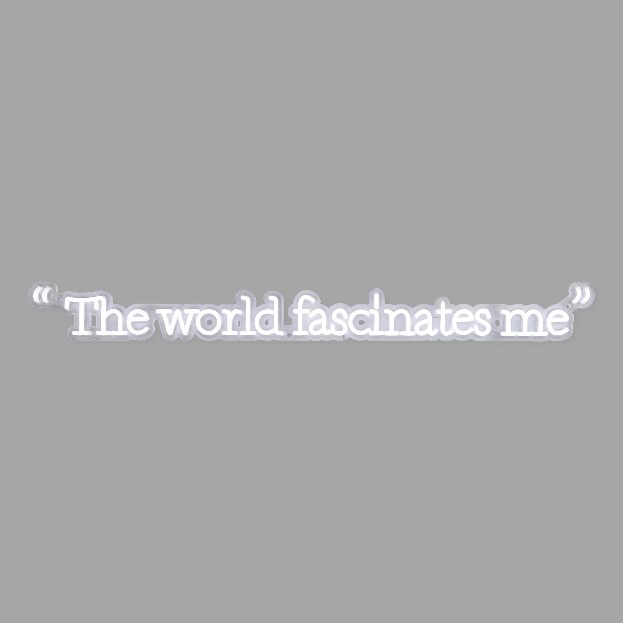 Andy Warhol The World Fascinates Me Quote Neon Sign – MoMA Design
