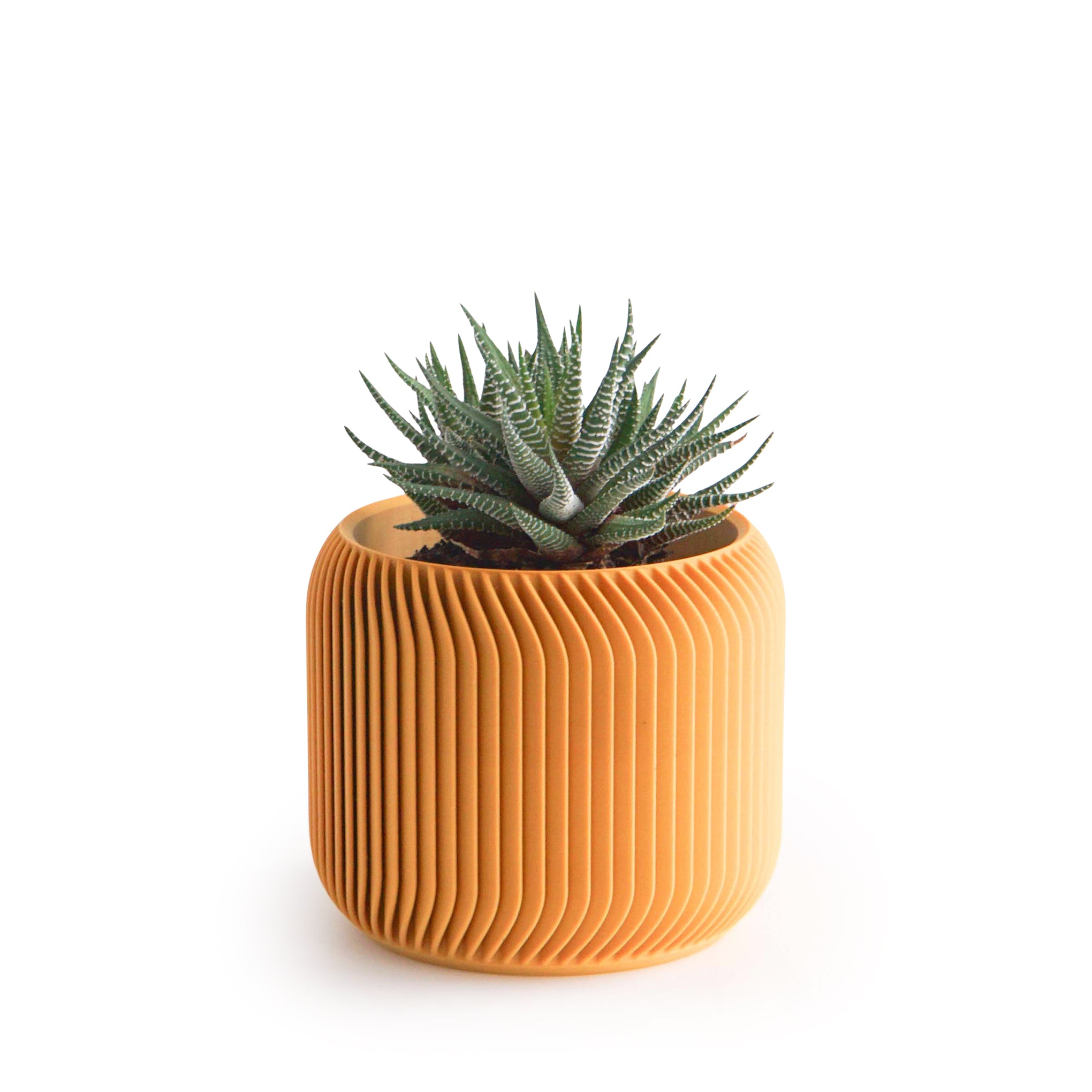 3D-Printed Planter - 3