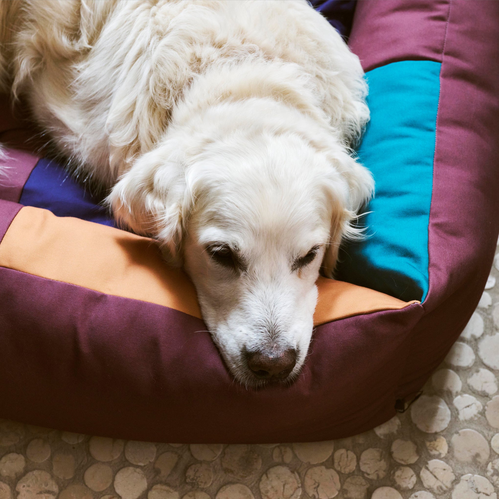 HAY Dog Bed in Recycled Polyester - Burgundy/ Green – MoMA Design
