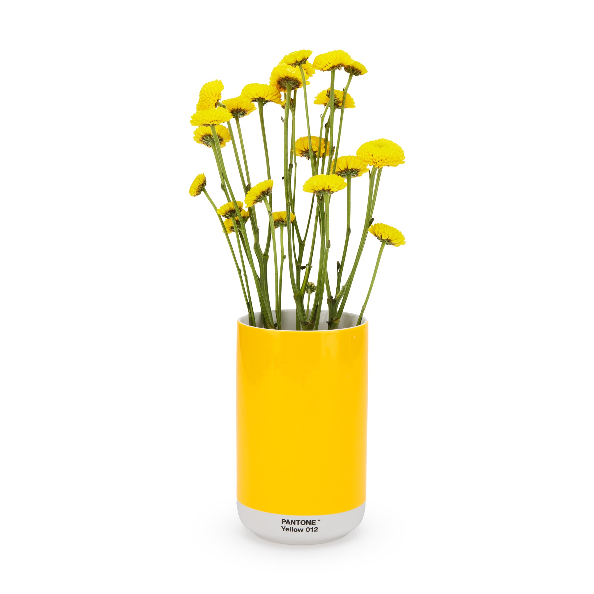 Pantone Ceramic Vase - Yellow