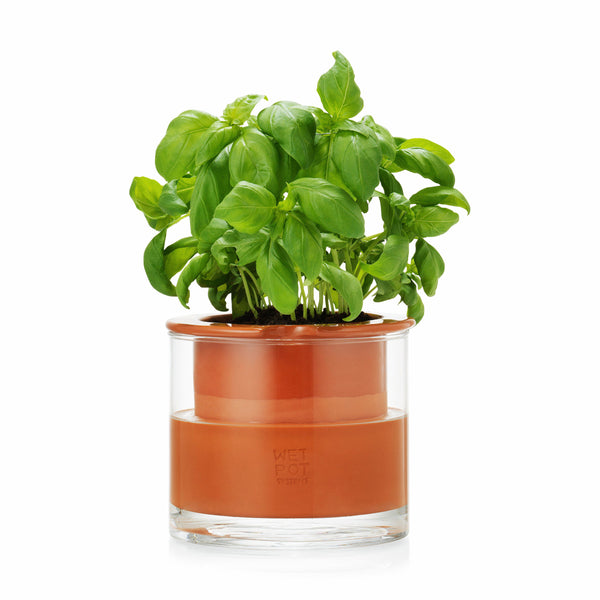 plant spa self watering pot MoMA Self Watering Pot
