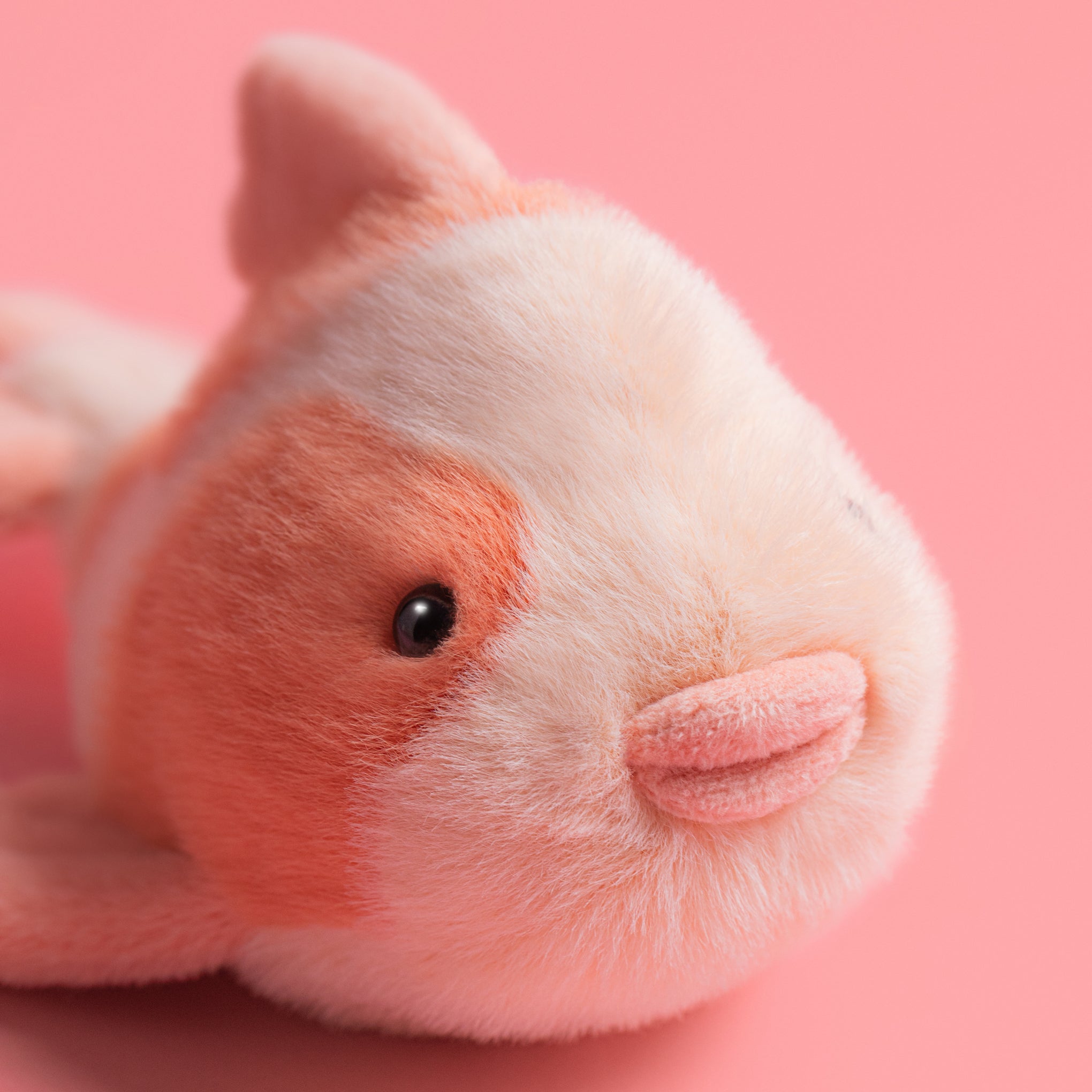 Summer Fun Jellycat Plush - Koi Carp – MoMA Design Store