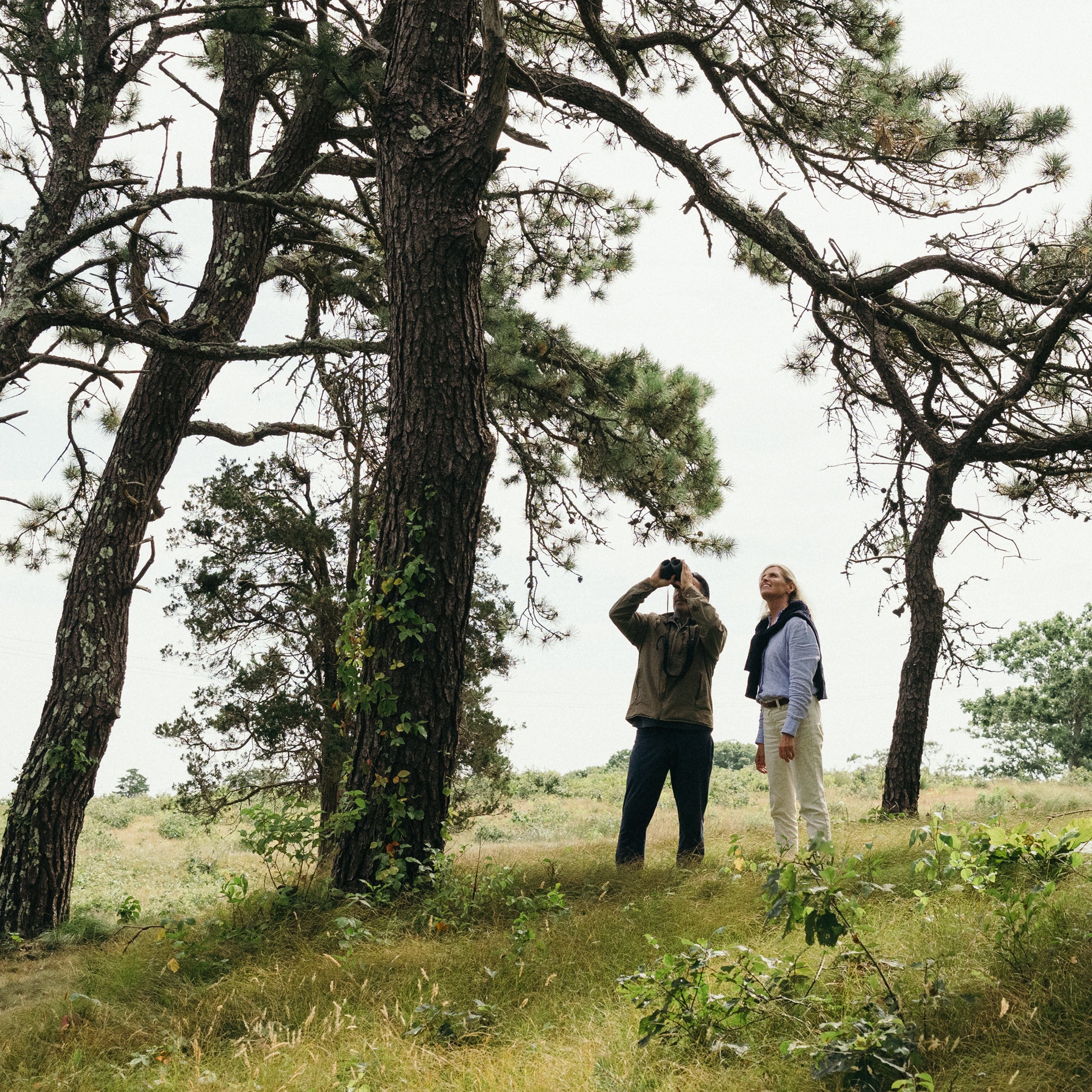 Swarovski Optix AX Visio Smart Binoculars – MoMA Design Store