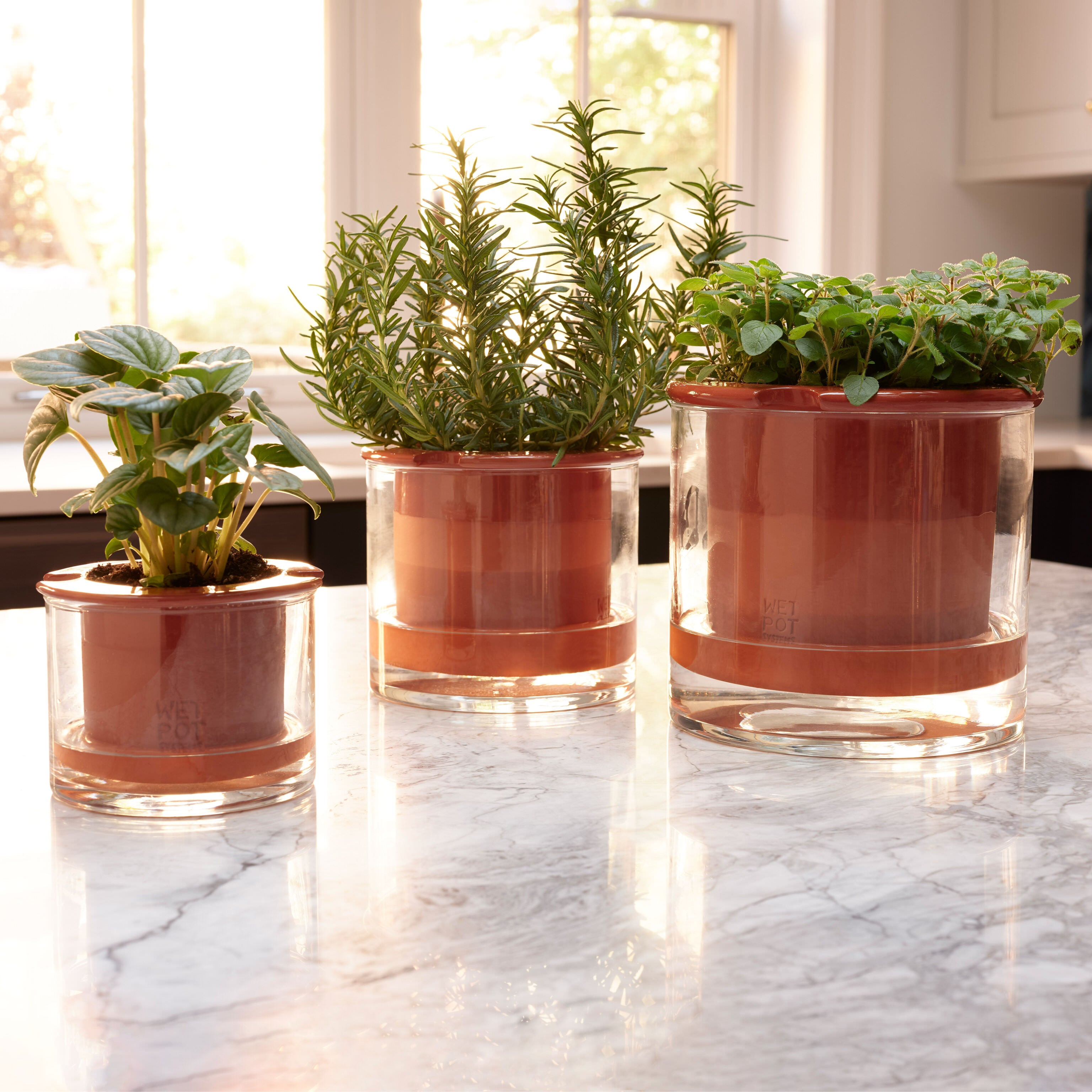 house plant pots Self-Watering Wet Pots