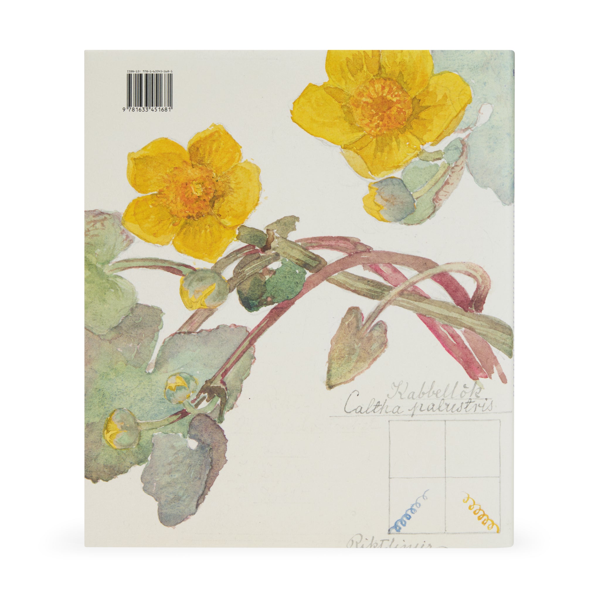 Hilma af Klint: What Stands Behind the Flowers – Hardcover – MoMA